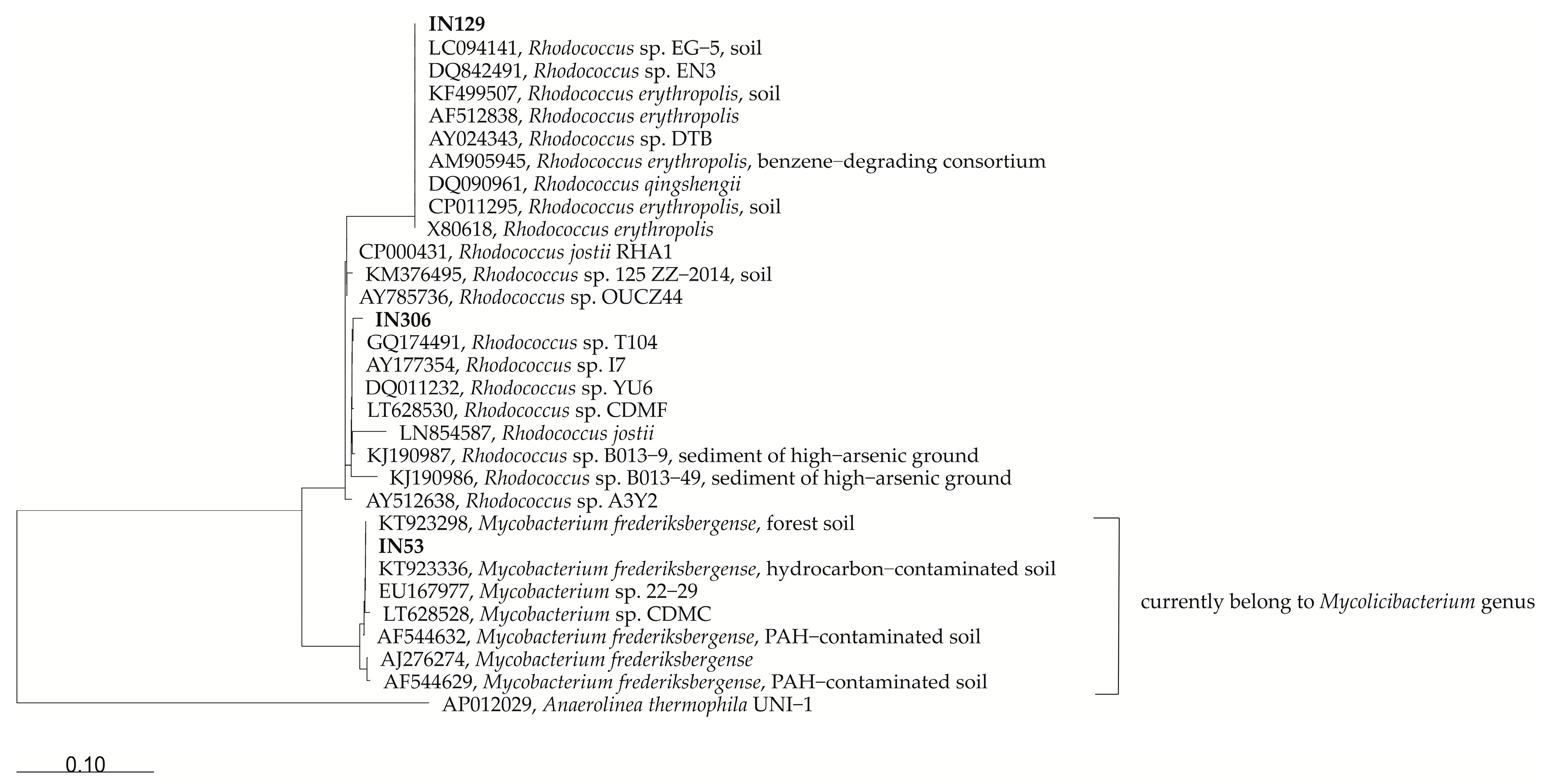Molecules 25 00709 g001