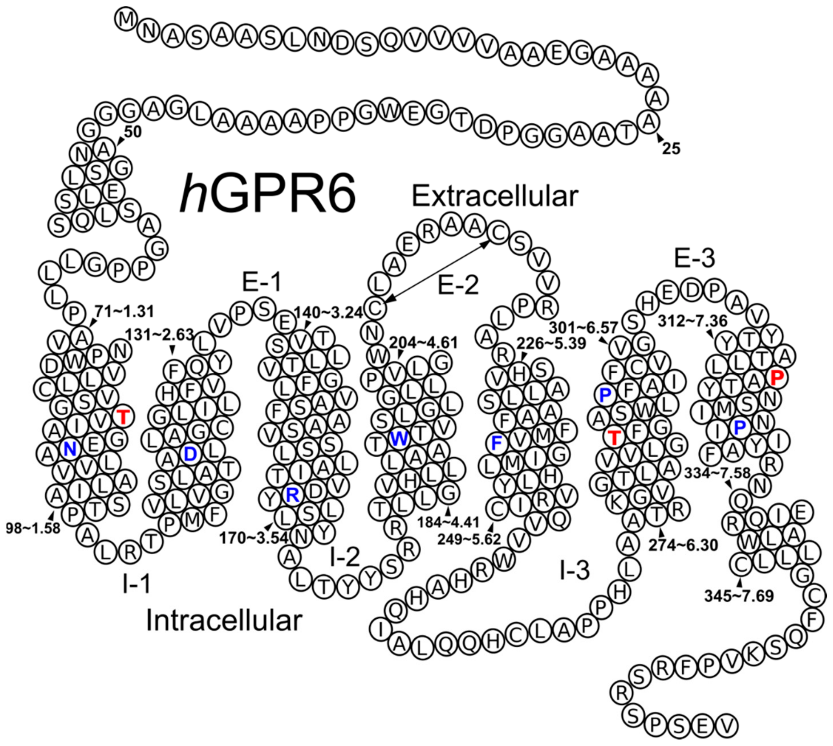 Molecules Free Full Text Gpr6 Structural Insights Homology Model Construction And Docking Studies Html