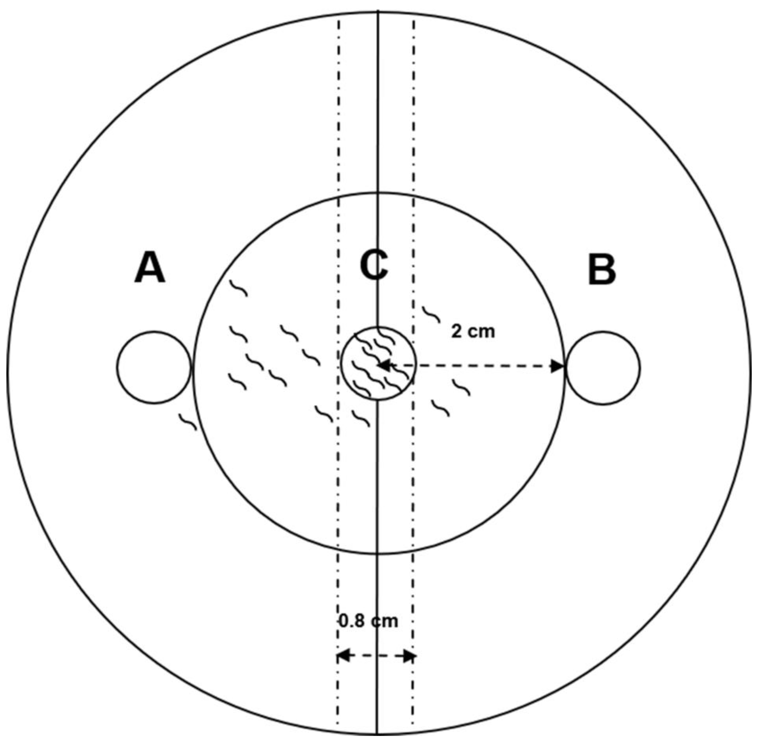Molecules 25 00744 g005 Molecules 25 00744 g005