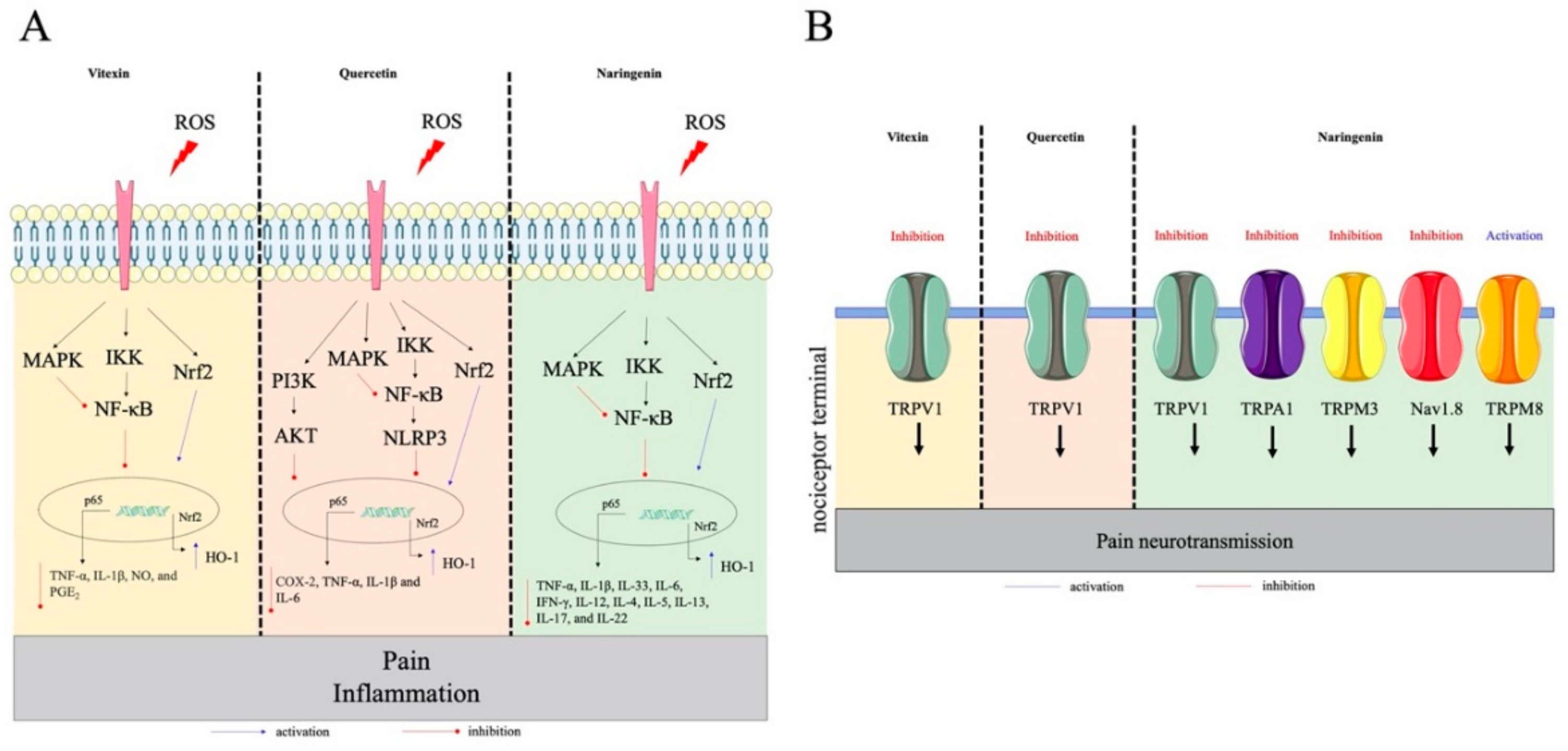 Molecules 25 00762 g004
