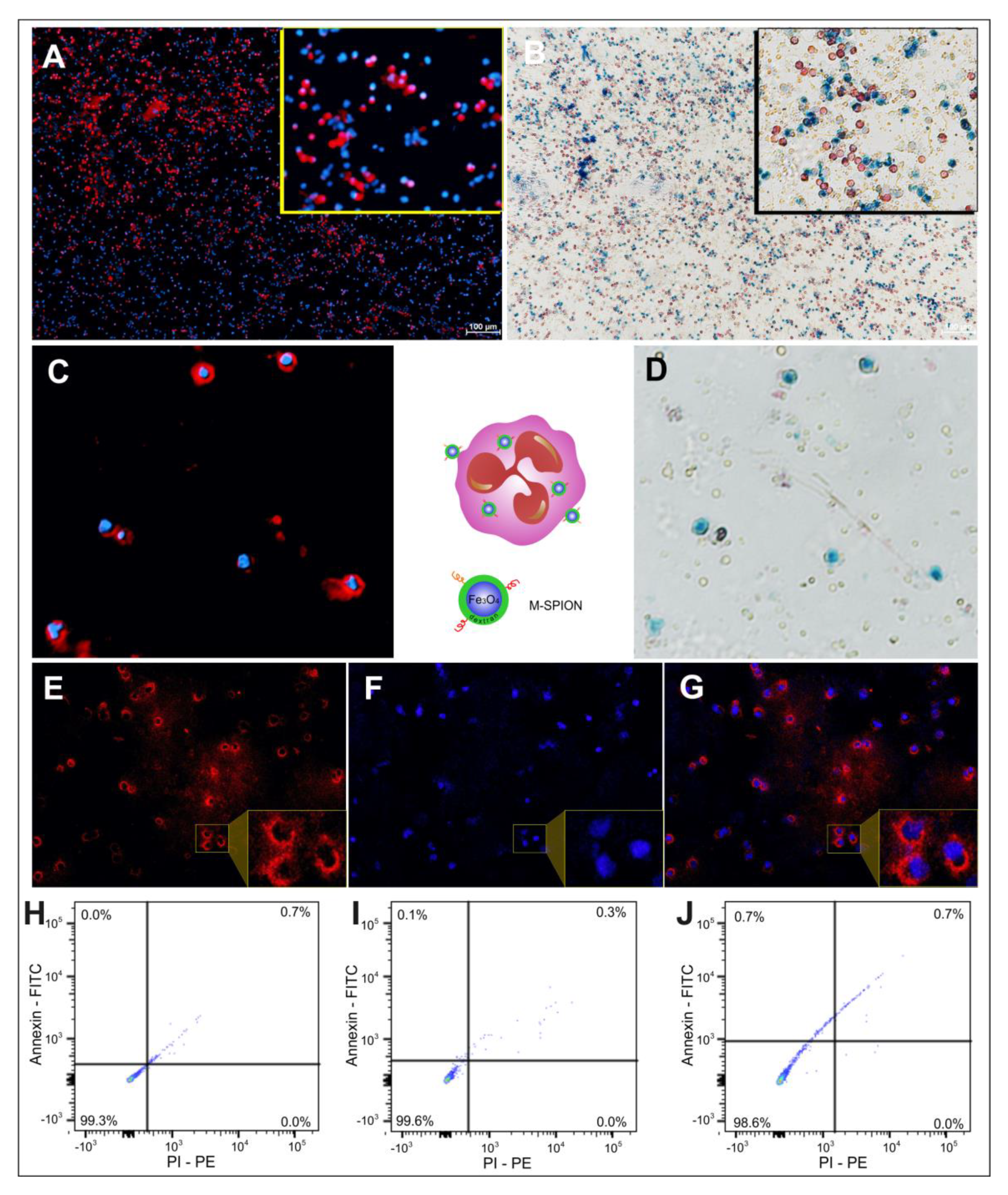 Molecules 25 00765 g004 Molecules 25 00765 g004