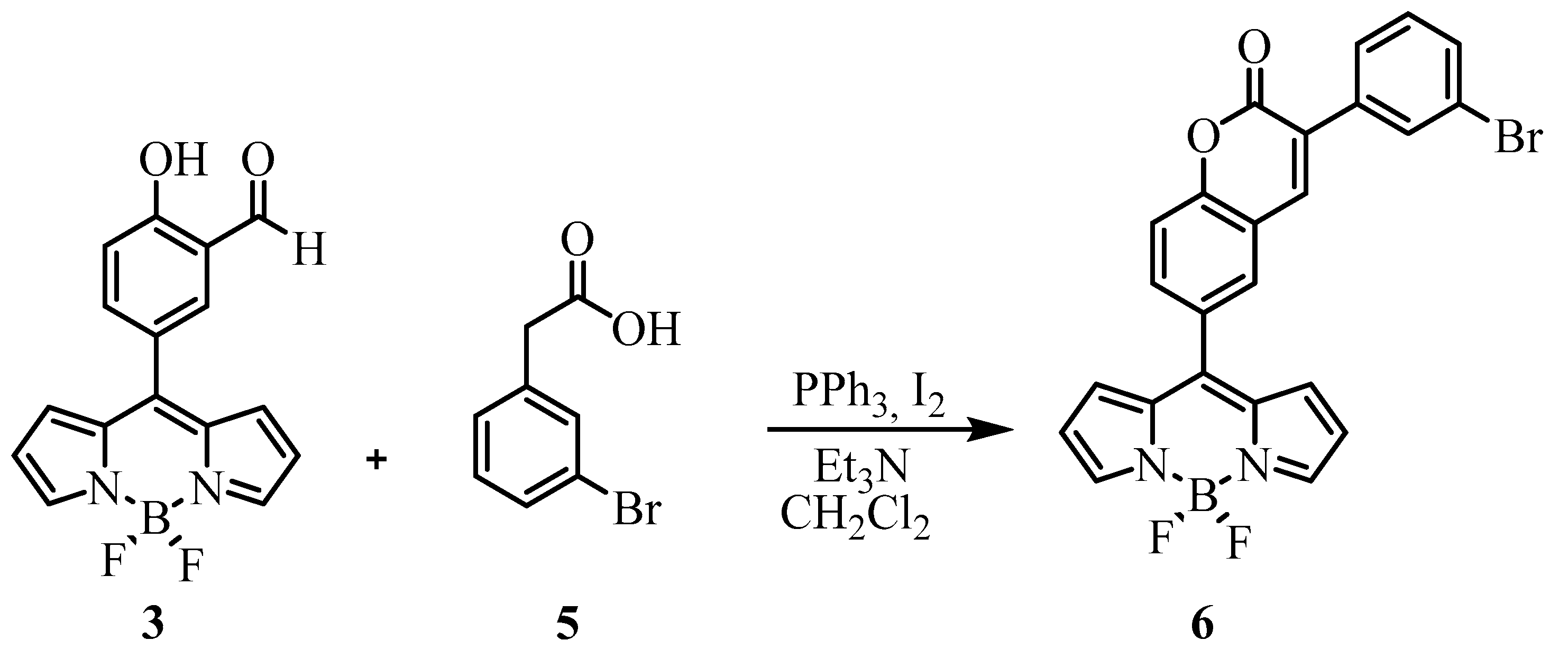 Molecules 25 00781 sch004 Molecules 25 00781 sch004