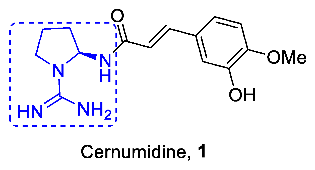 Molecules Free Full Text Synthetic Approaches To A Challenging And Unusual Structure An Amino Pyrrolidine Guanine Core Html