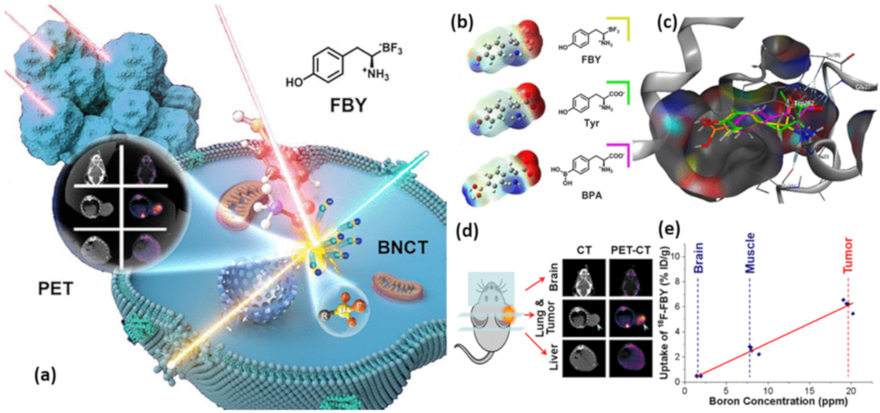 Molecules 25 00828 g009 Molecules 25 00828 g009