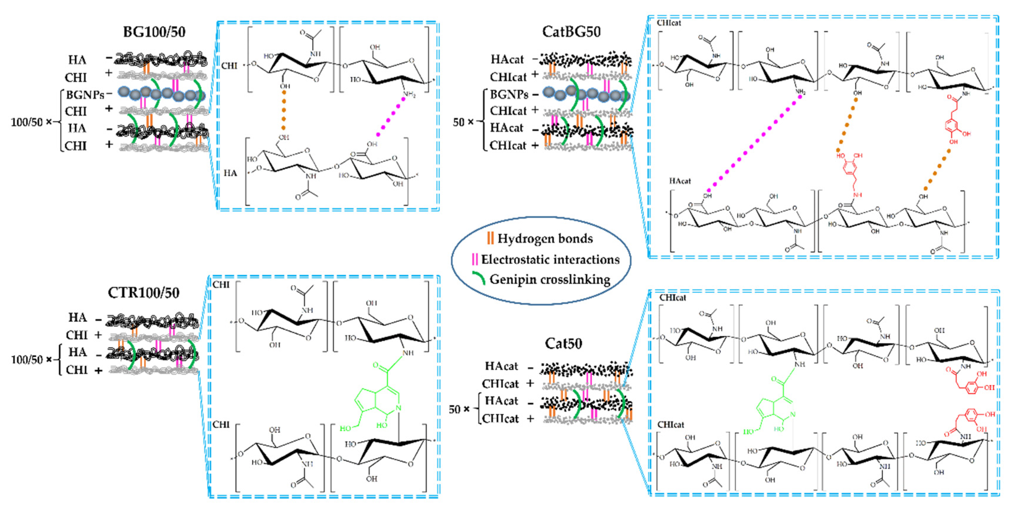 Molecules 25 00840 g003