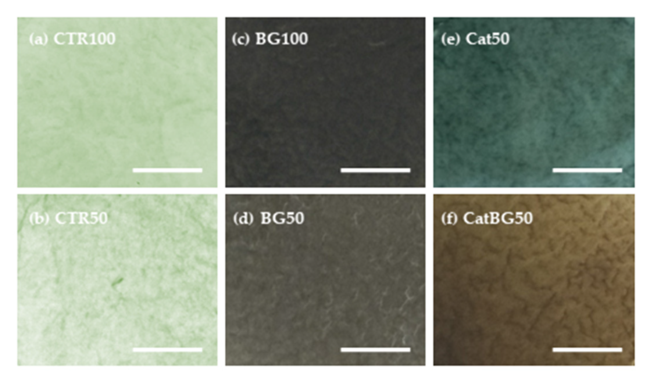 Molecules 25 00840 g004