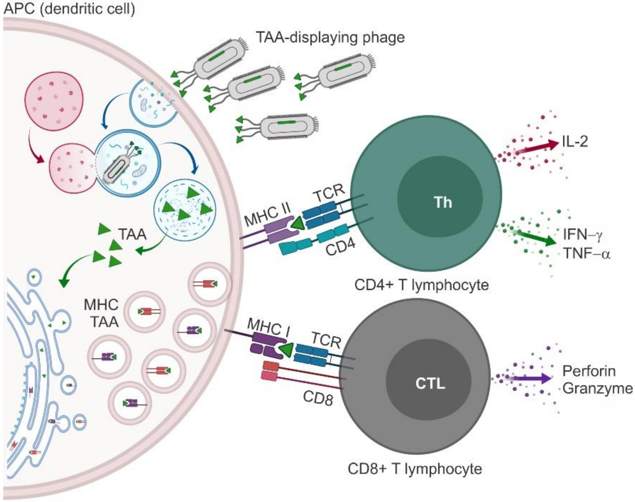 Molecules 25 00843 g002