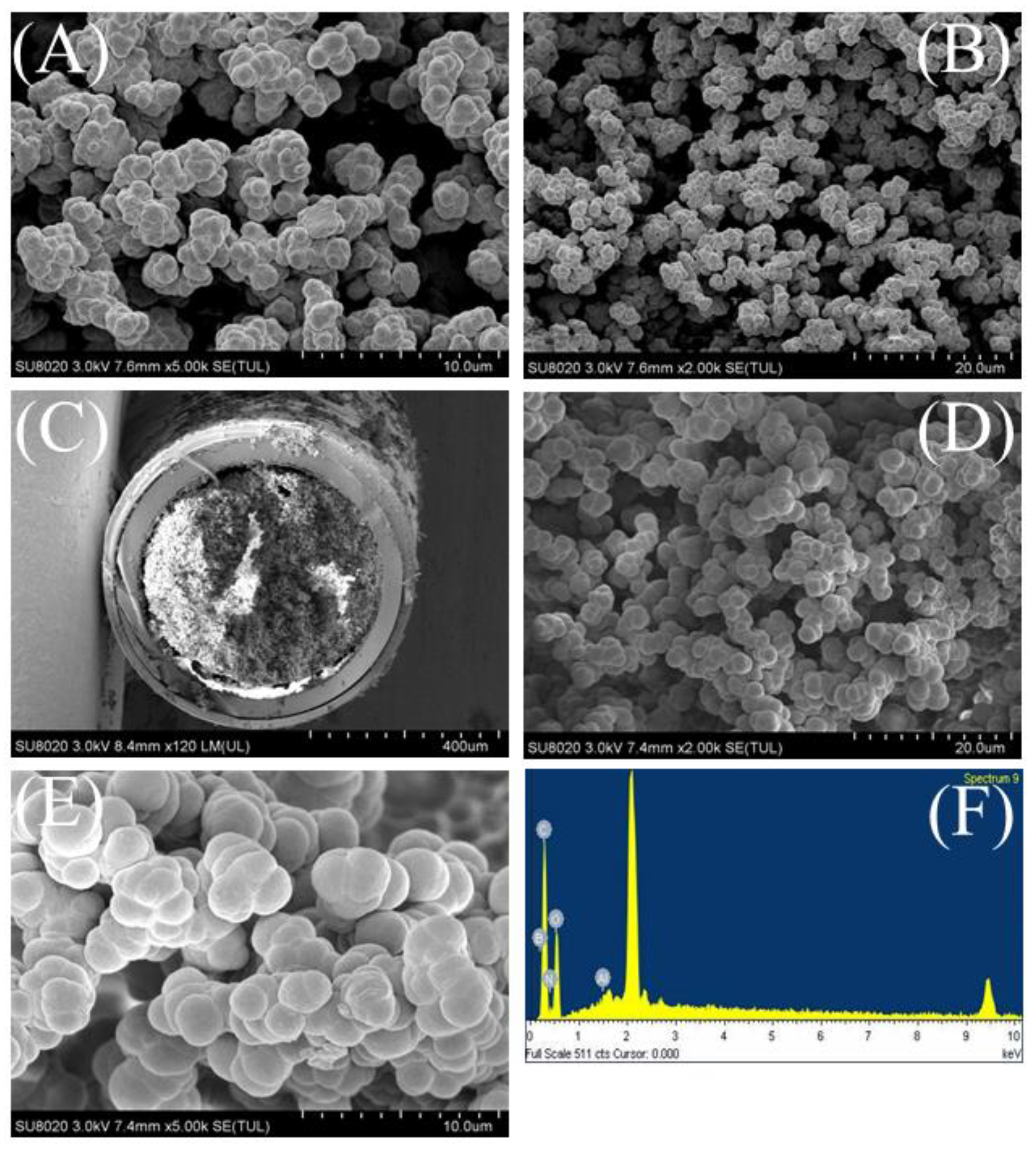 Molecules 25 00897 g003