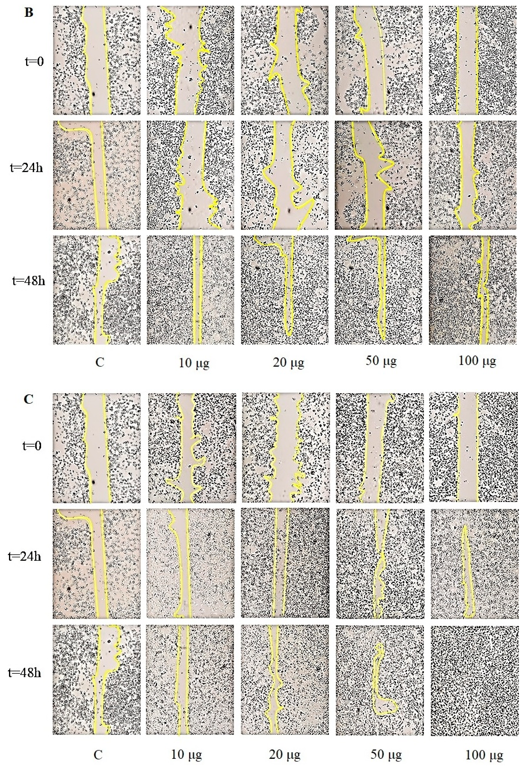 Molecules 25 00968 g008b