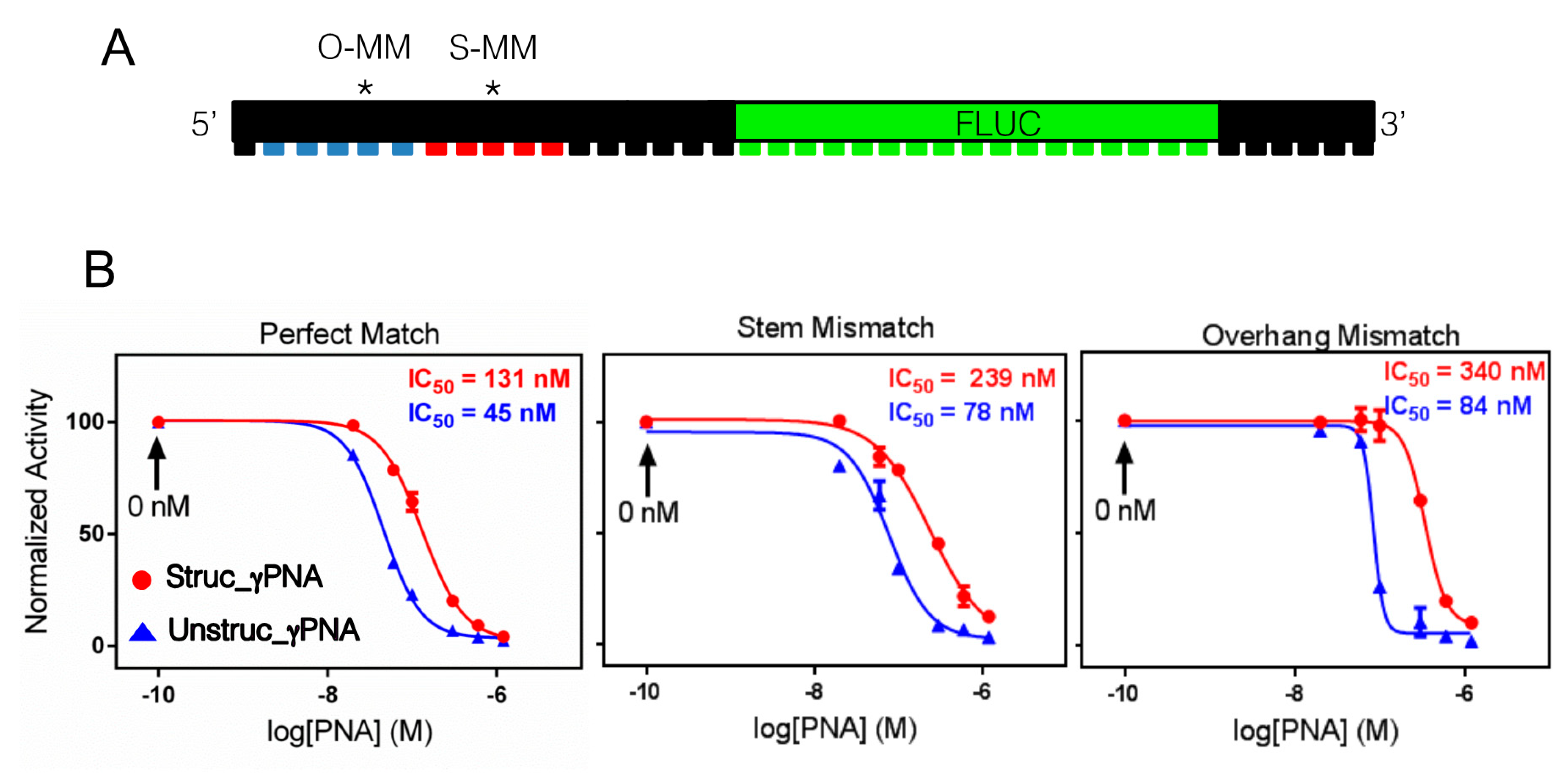 Molecules 25 00970 g004 Molecules 25 00970 g004