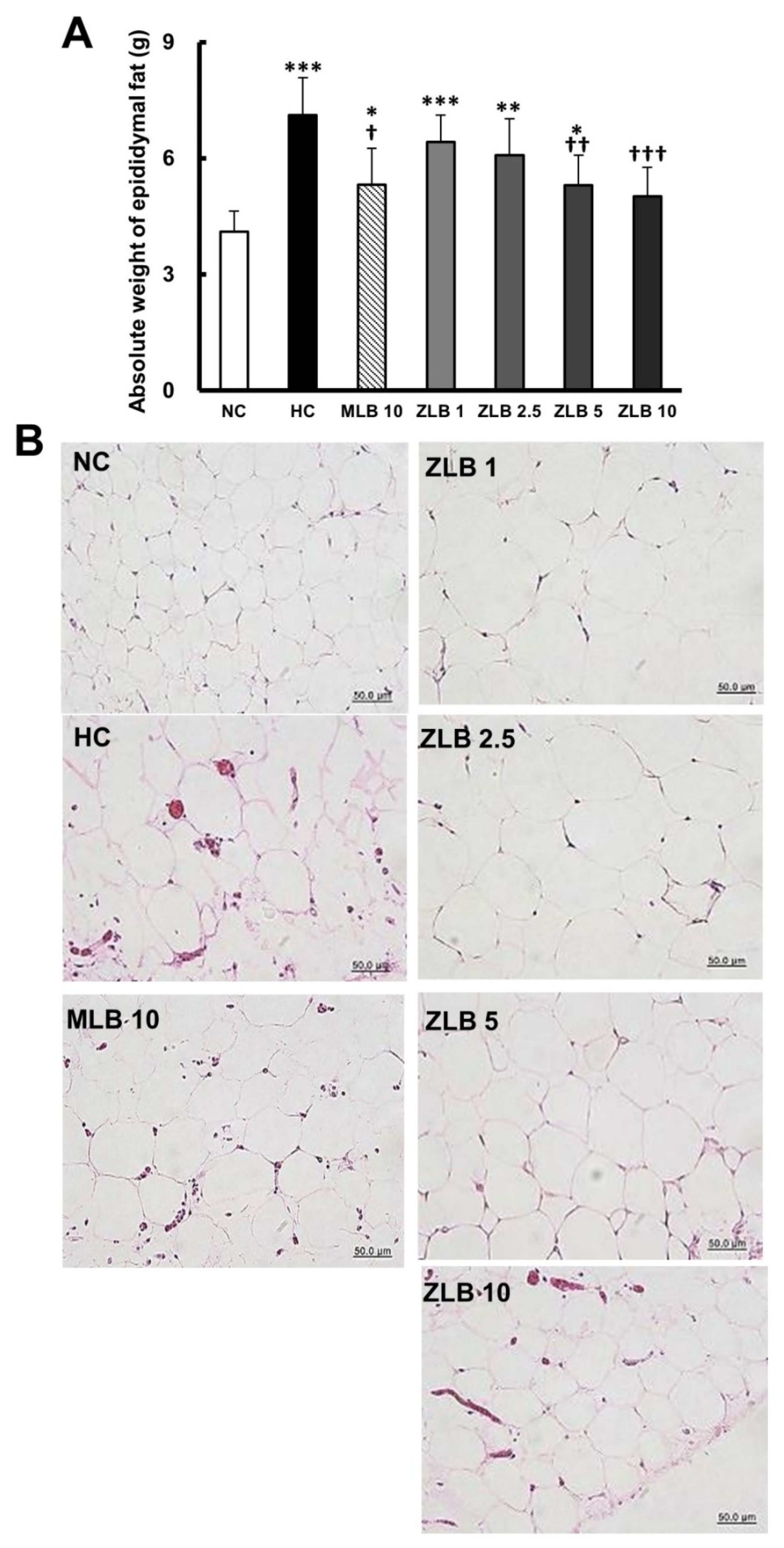 Molecules 25 00983 g003