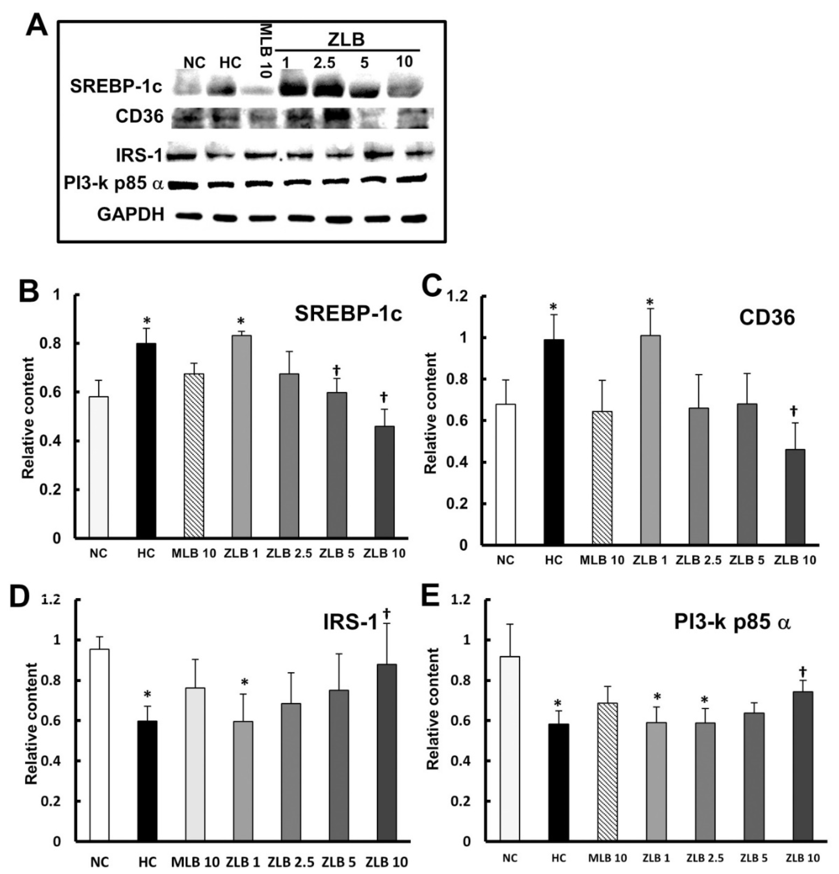 Molecules 25 00983 g006