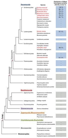 Molecules | Free Full-Text | Identification of ε-Poly-L-lysine as an ...