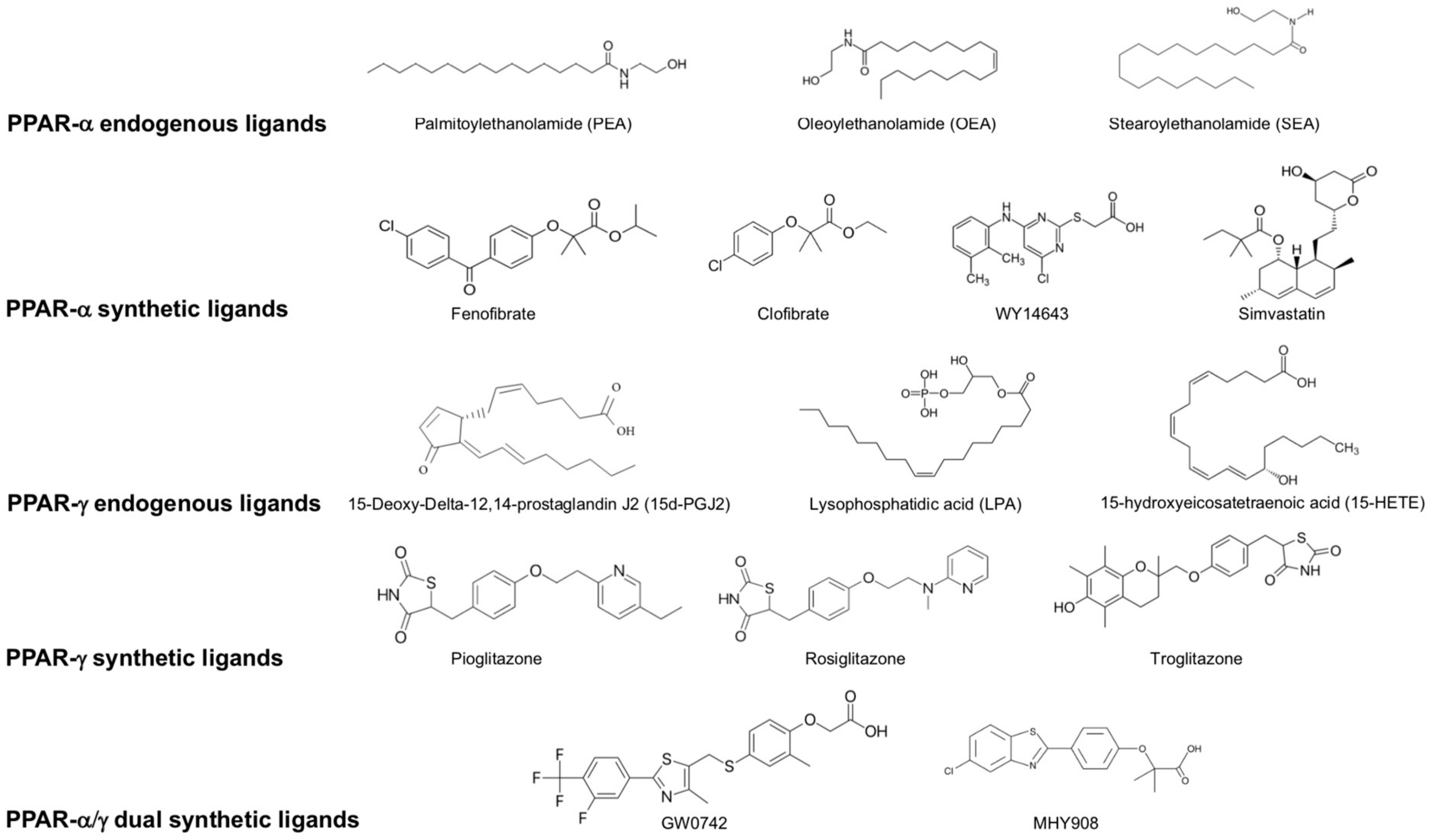 Molecules 25 01062 g002 Molecules 25 01062 g002