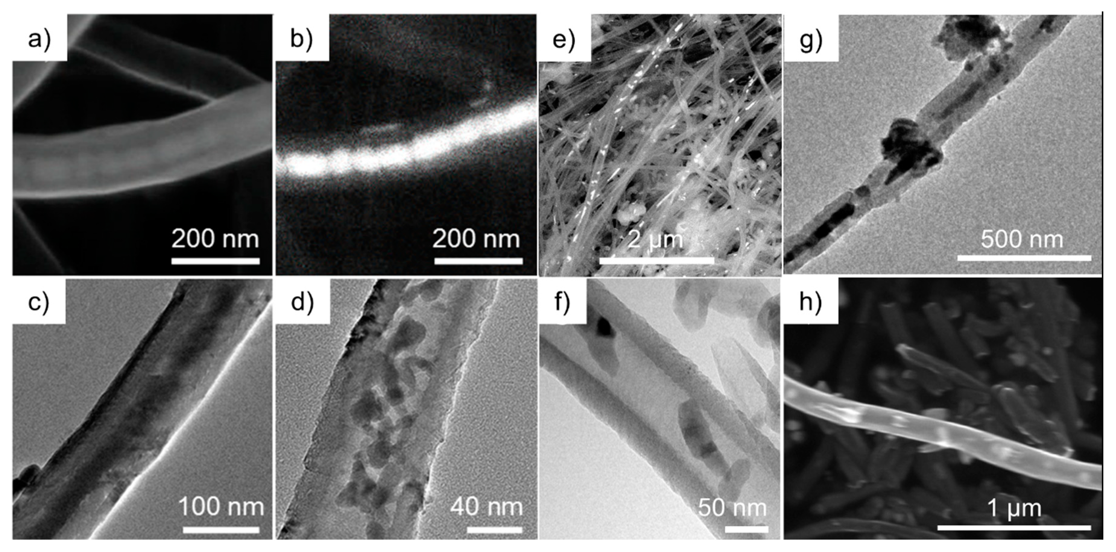 Molecules 25 01064 g003 Molecules 25 01064 g003