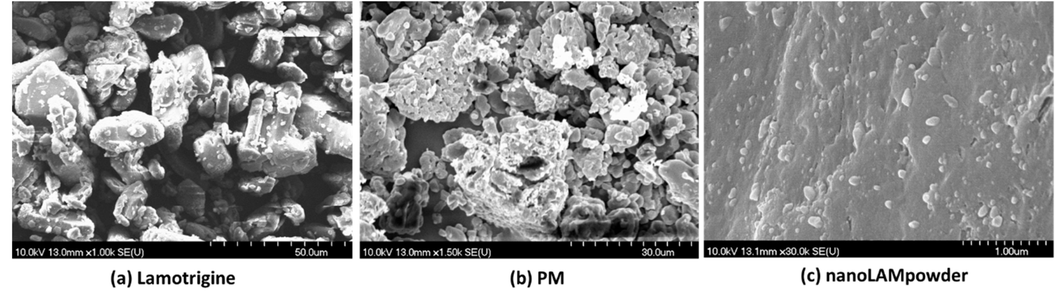 Molecules | Free Full-Text | Investigation of the Absorption of Nanosized  lamotrigine Containing Nasal Powder via the Nasal Cavity | HTML