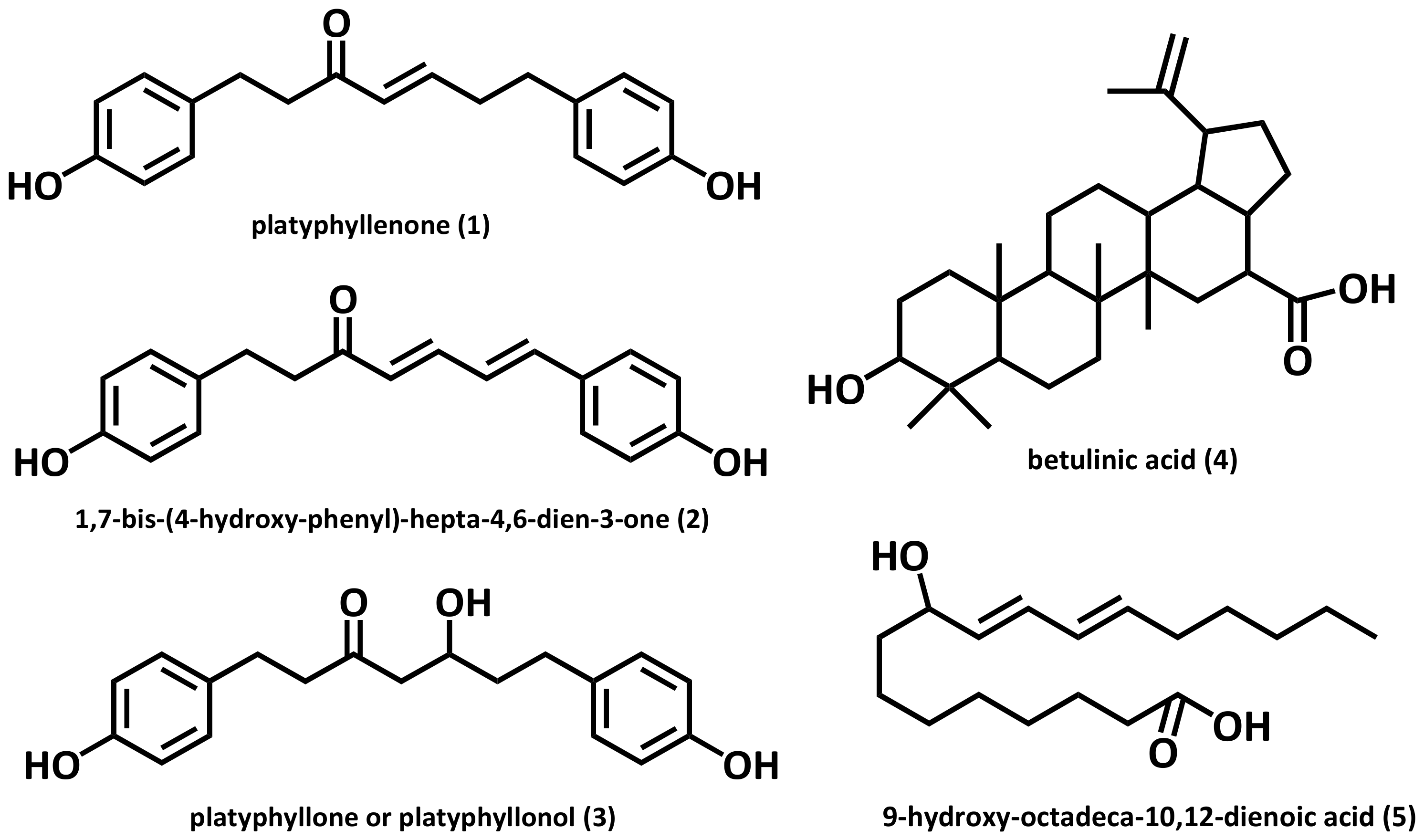 Molecules 25 01073 g002