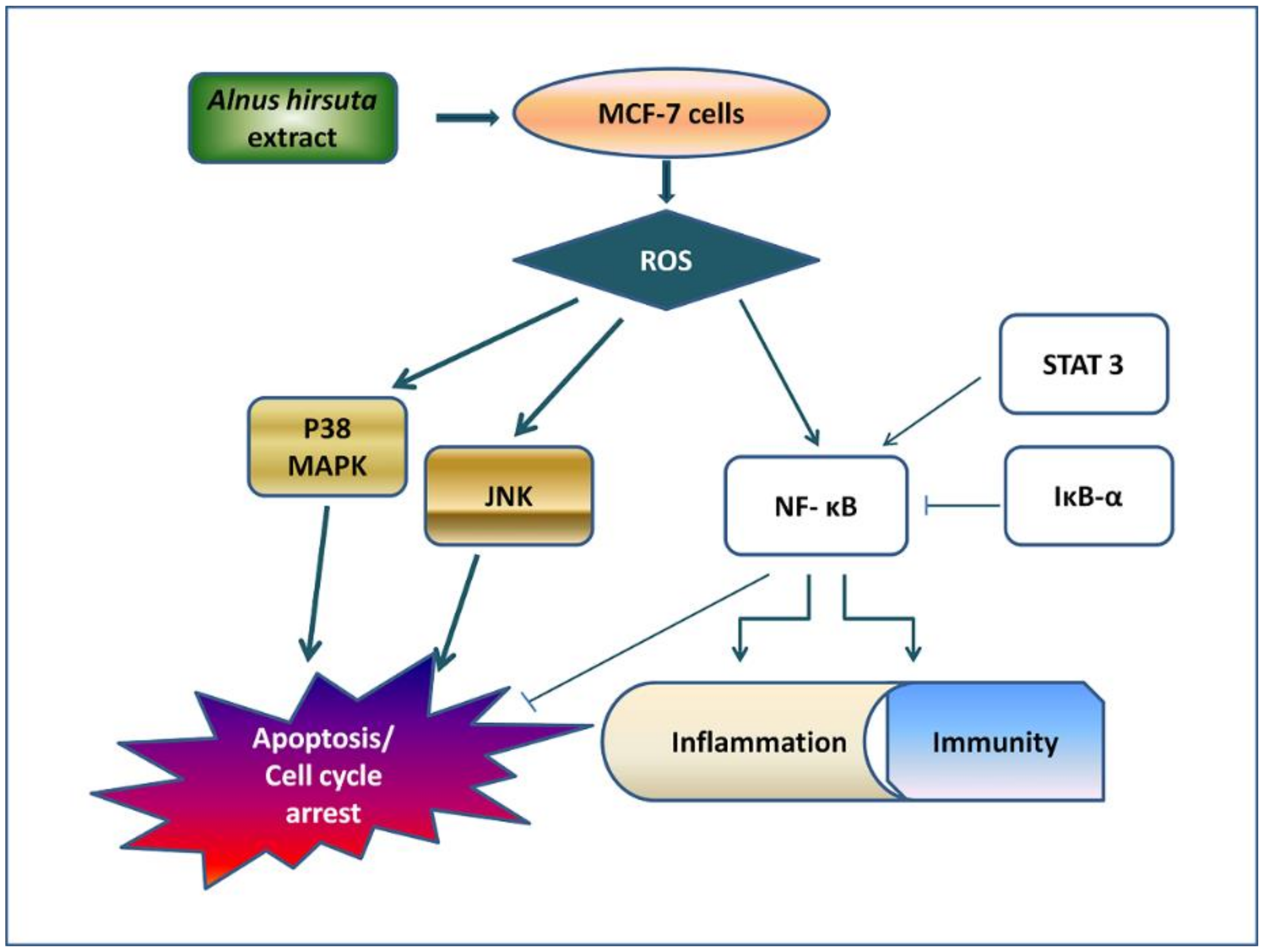 Molecules 25 01073 g009