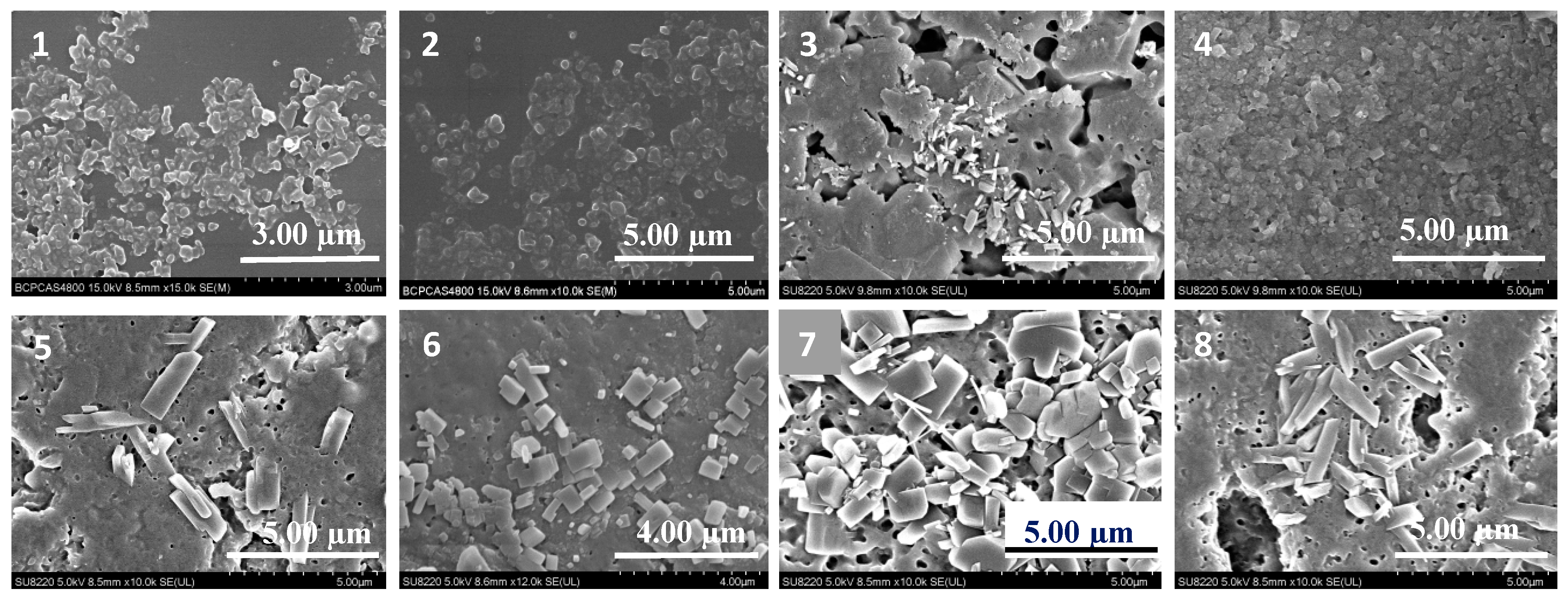 Molecules 25 01080 g001