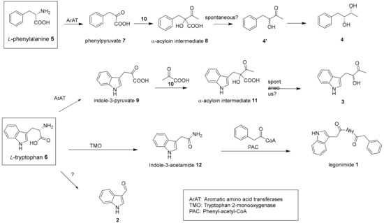 Molecules | Free Full-Text | Targeted Isolation of Indole Alkaloids ...