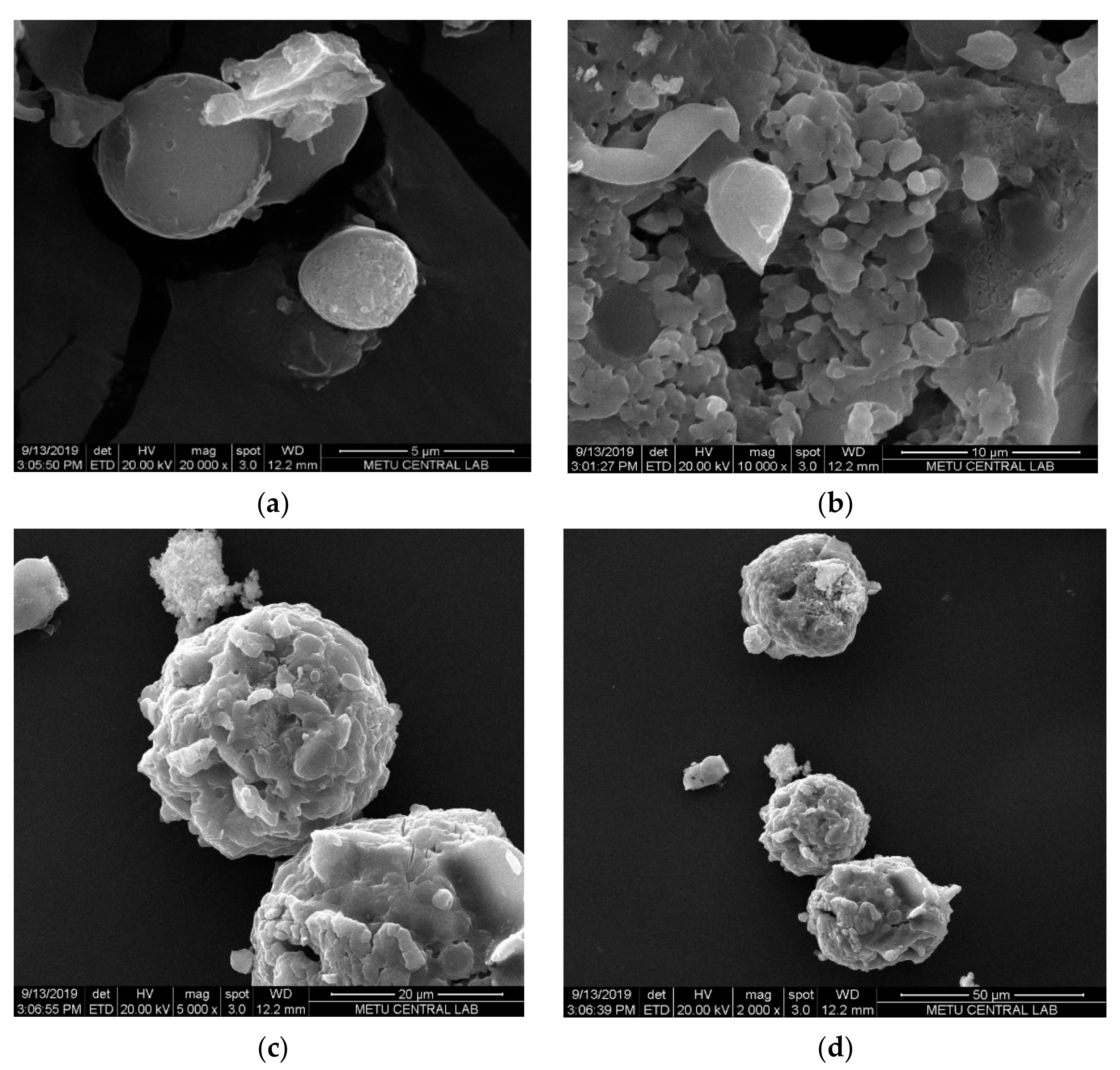 Molecules 25 01110 g003 Molecules 25 01110 g003