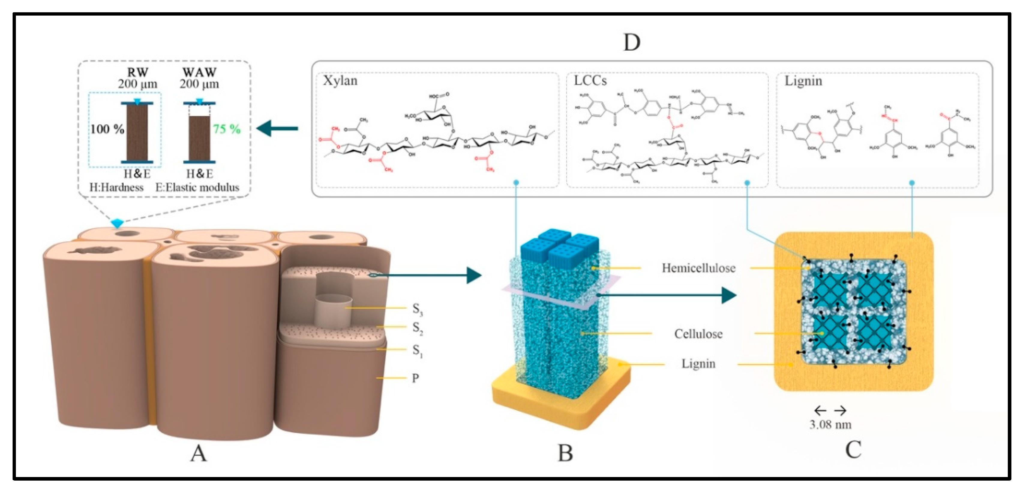 Molecules 25 01113 g008 Molecules 25 01113 g008