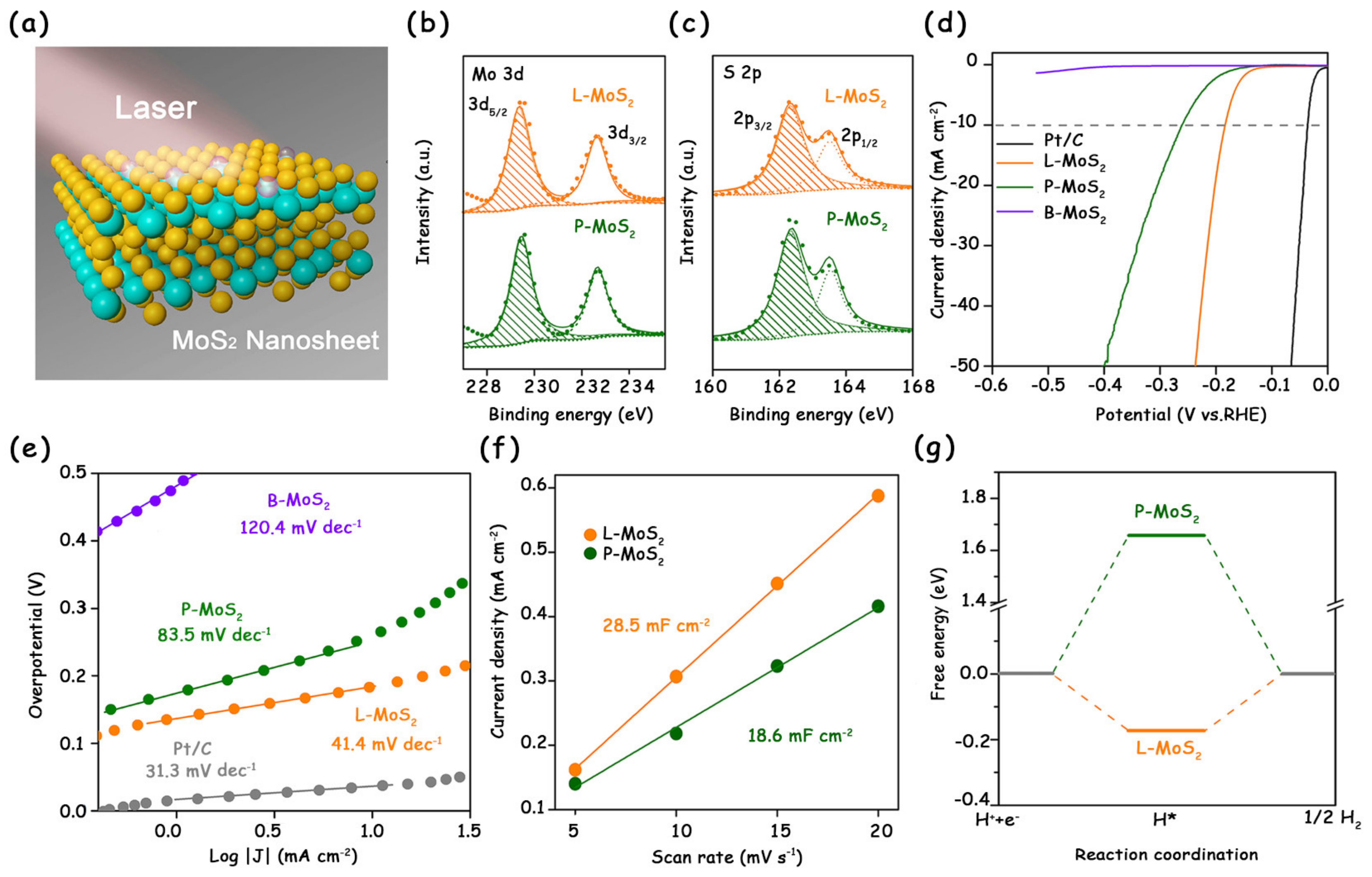 Molecules Free Full Text Recent Modification Strategies Of Mos2 For Enhanced Electrocatalytic Hydrogen Evolution Html