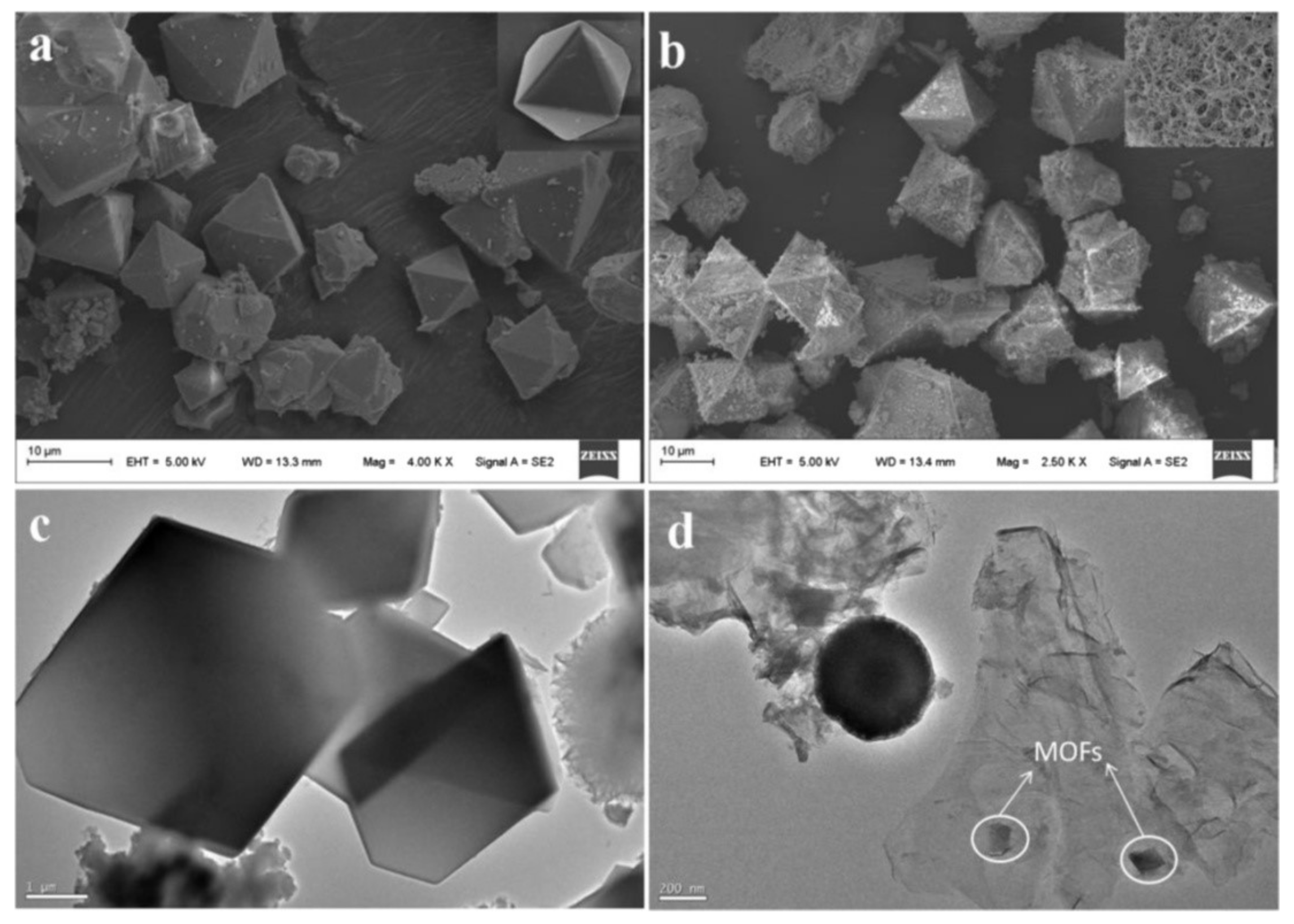 Molecules Free Full Text Magnetic Solid Phase Extraction Of Organic Compounds Based On Graphene Oxide Nanocomposites Html