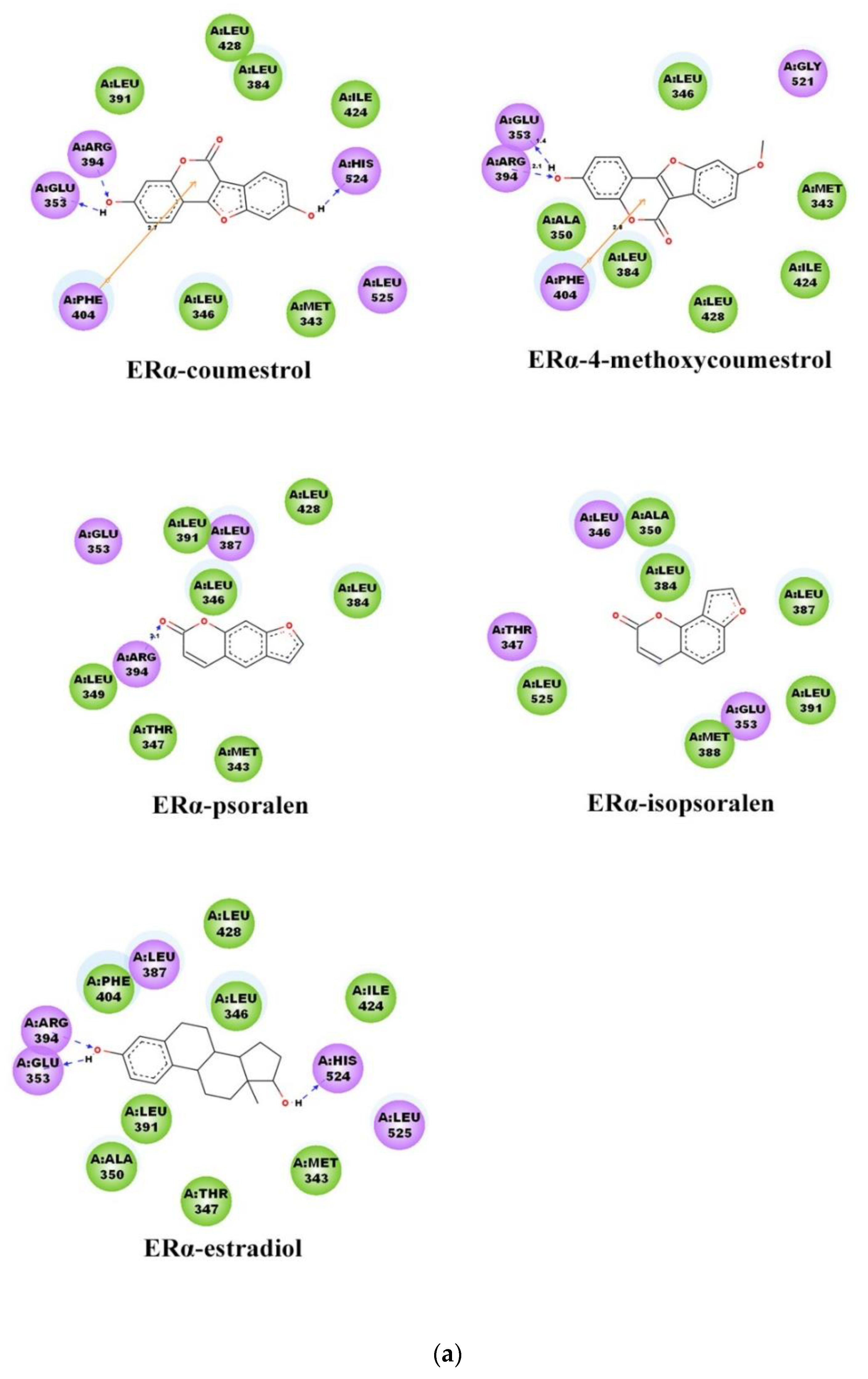 Molecules 25 01165 g005a Molecules 25 01165 g005a