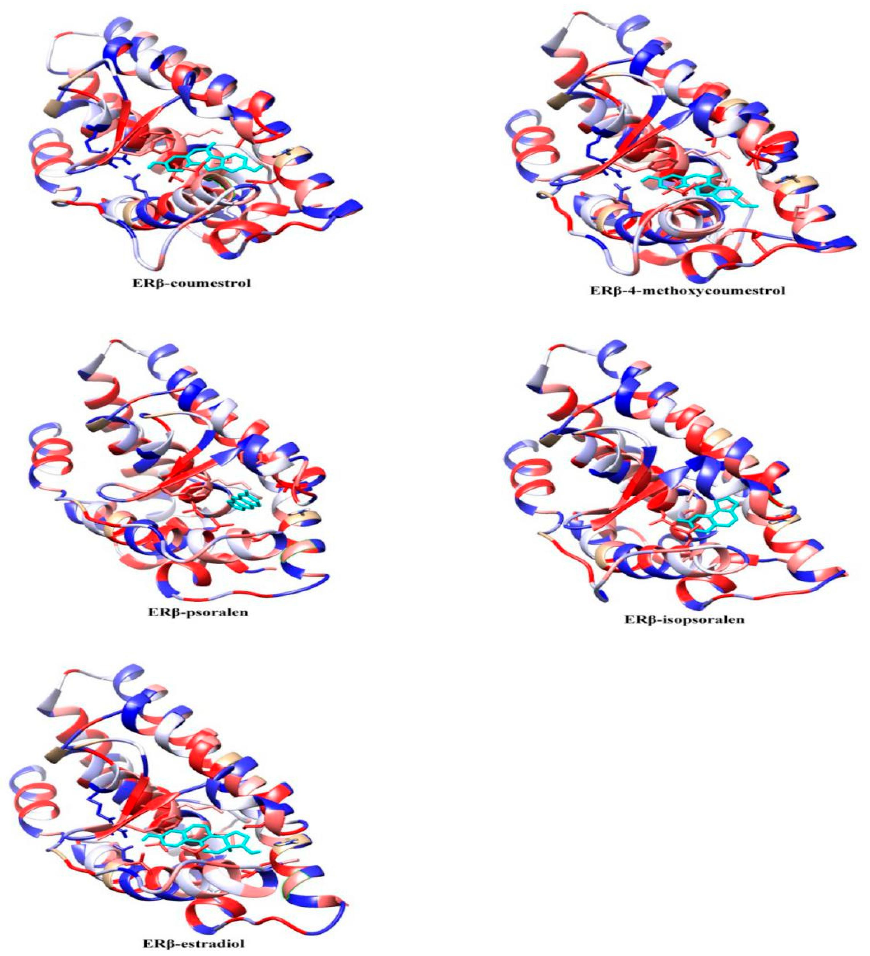 Molecules 25 01165 g006b Molecules 25 01165 g006b