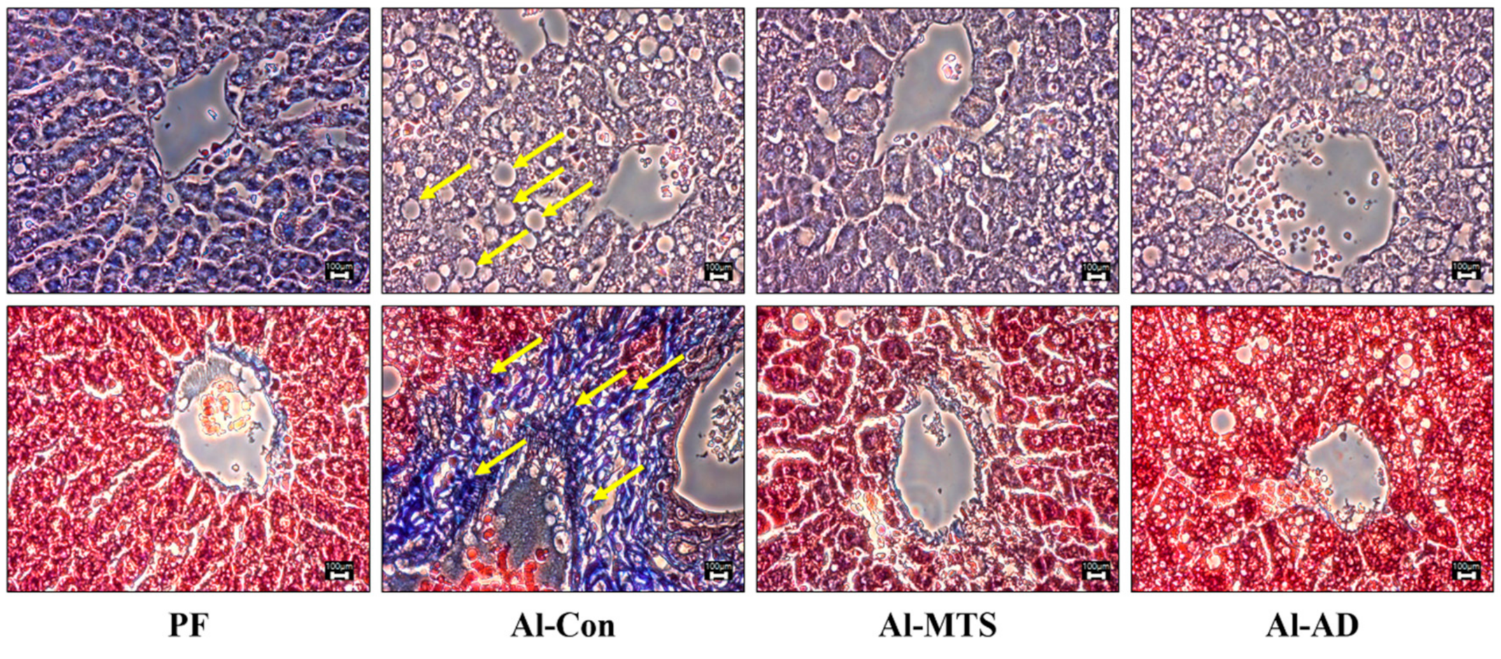 Molecules 25 01177 g003