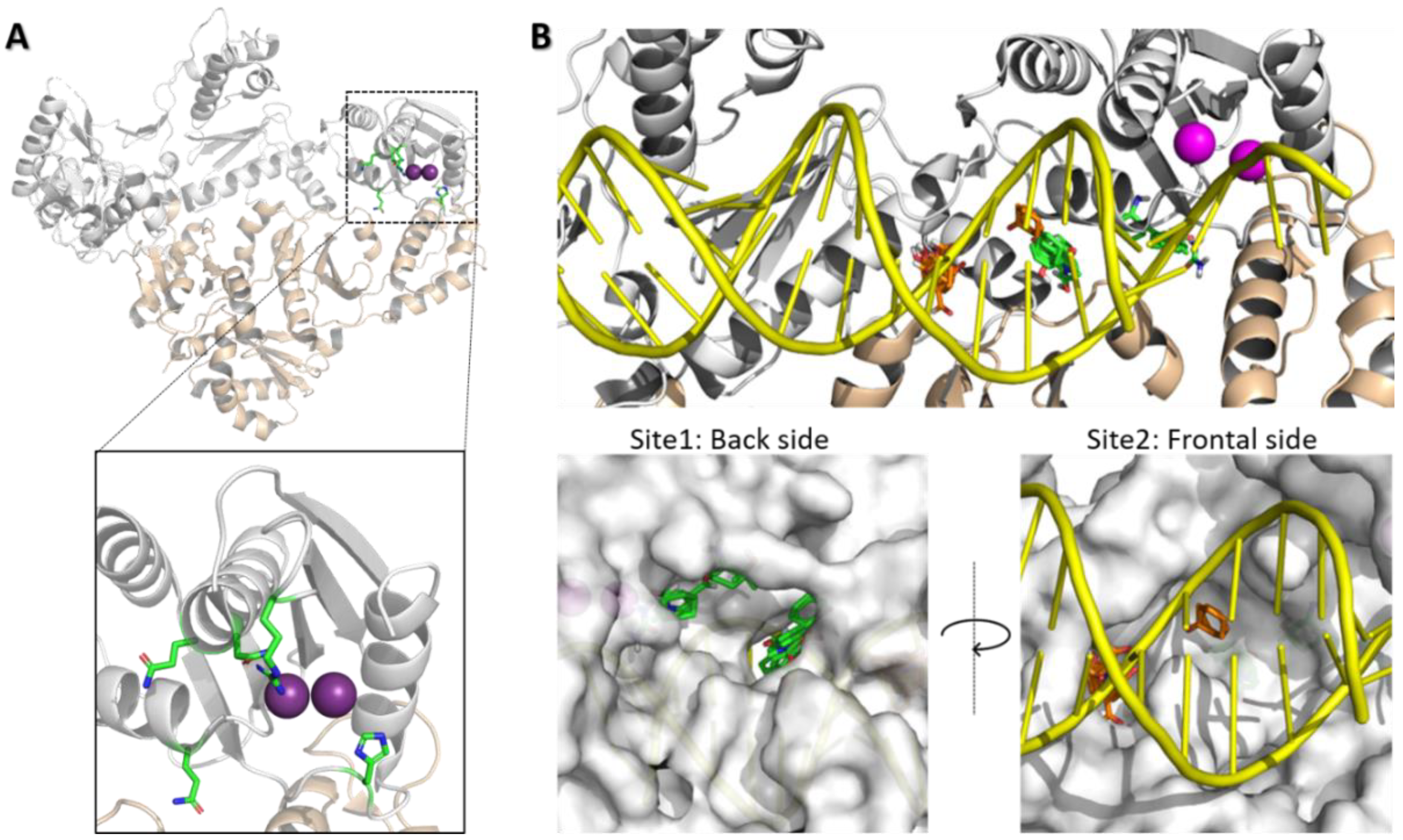 Molecules 25 01183 g002