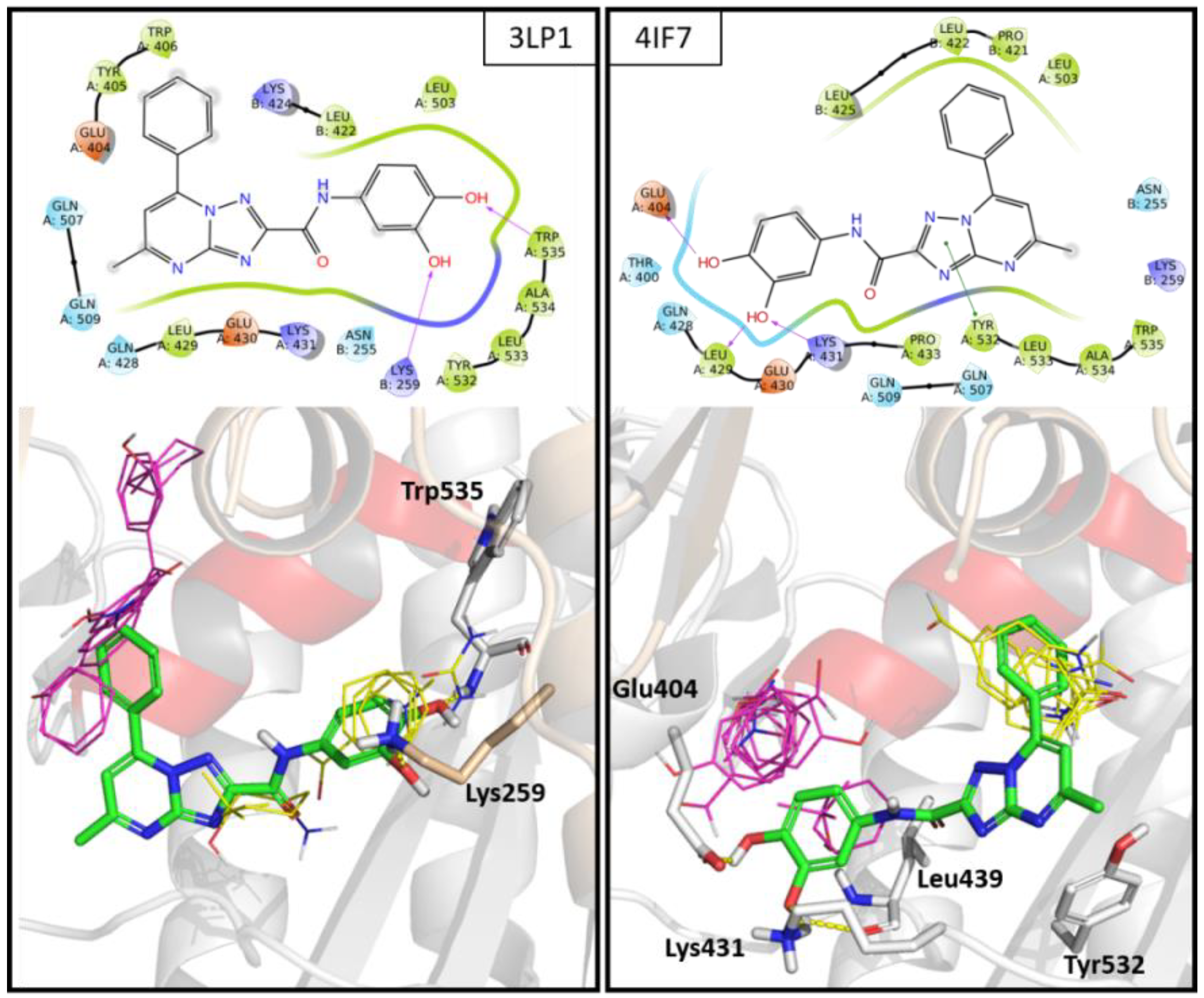 Molecules 25 01183 g005