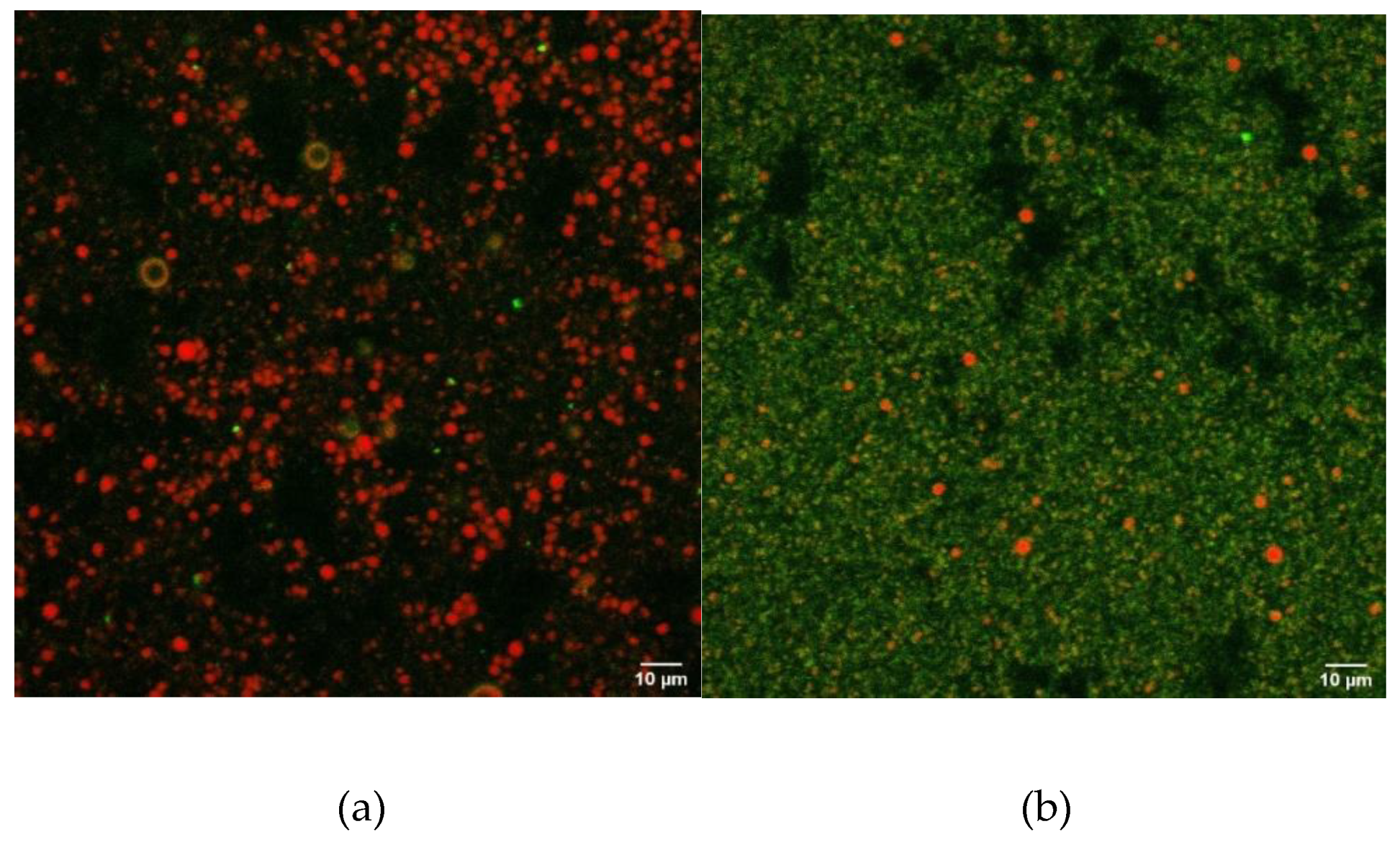 Molecules 25 01184 g008 Molecules 25 01184 g008
