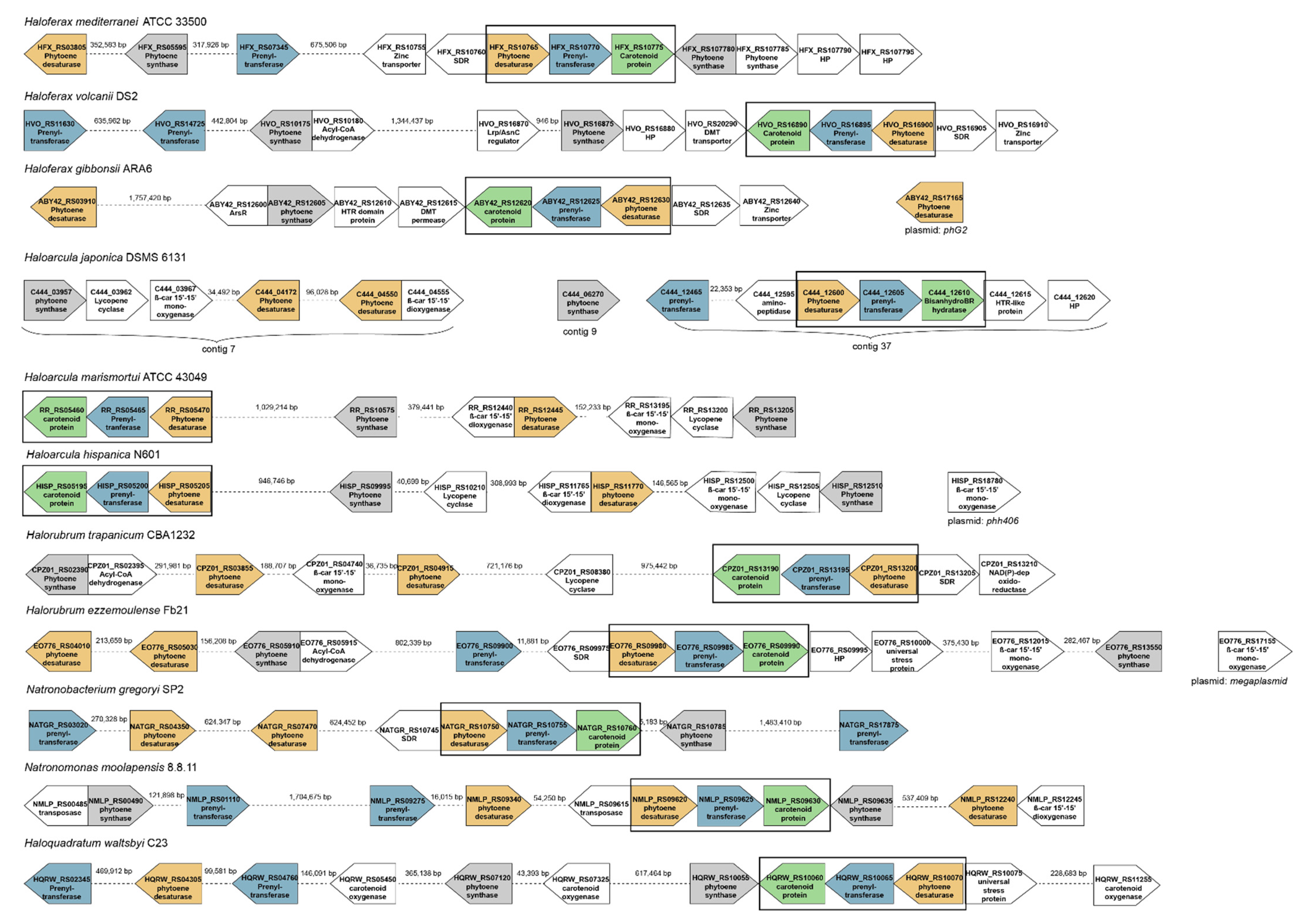 Molecules 25 01197 g003