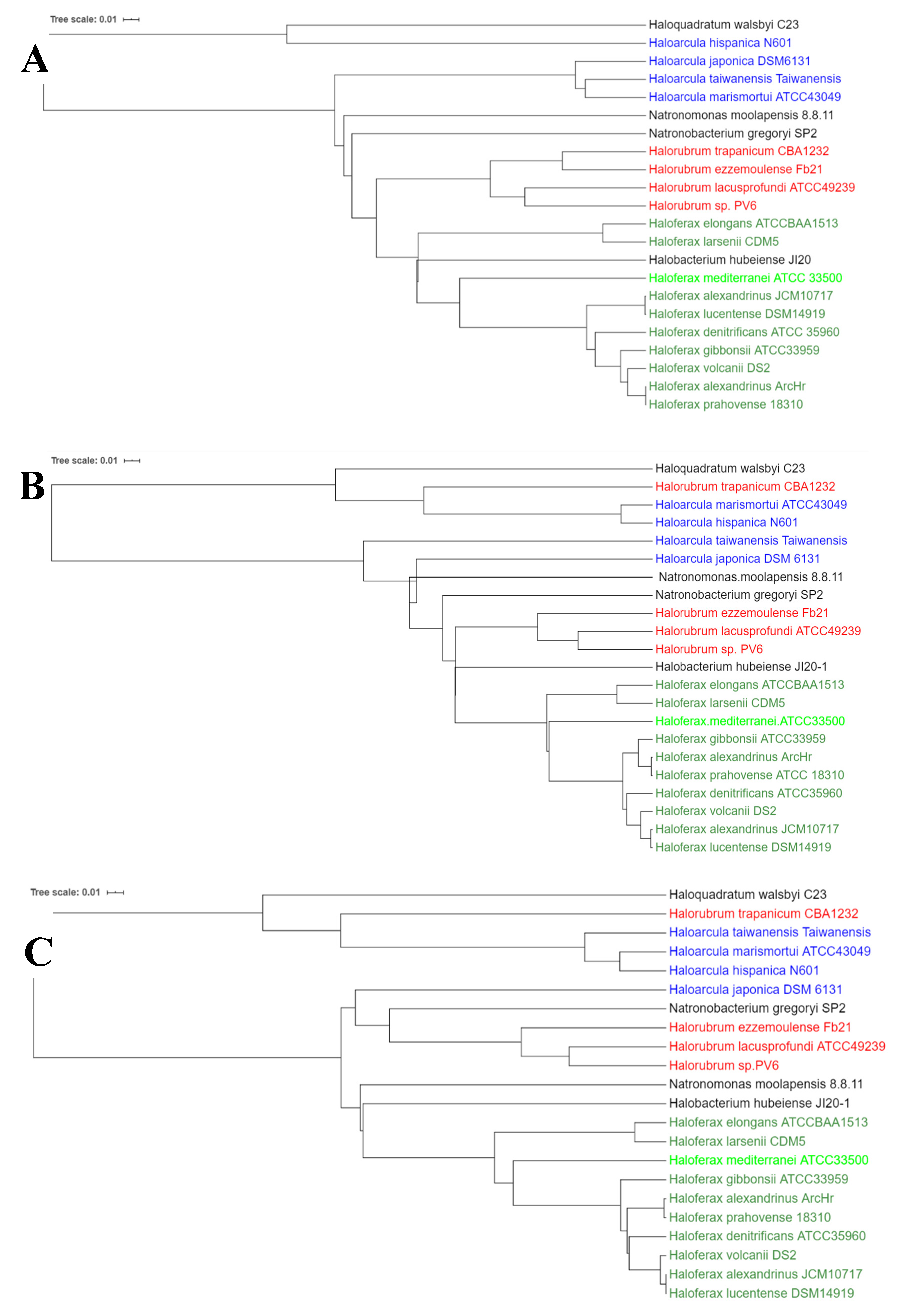 Molecules 25 01197 g004