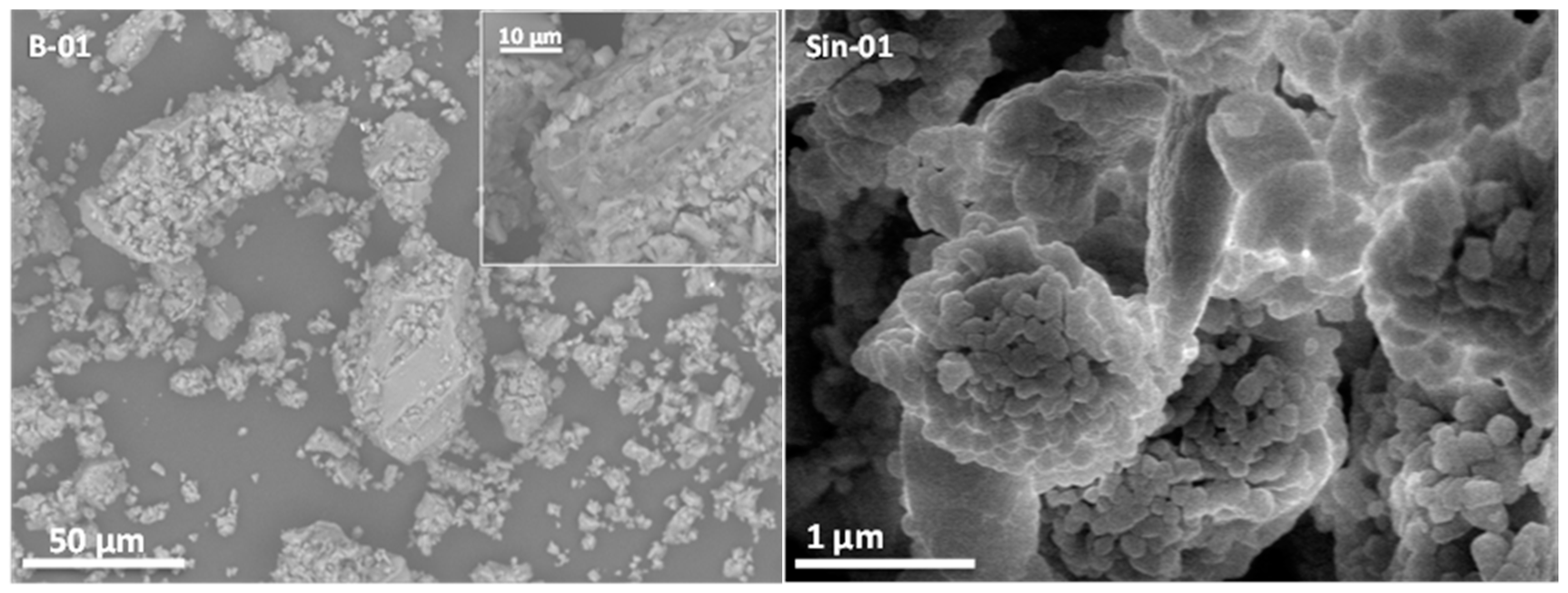 Molecules 25 01220 g004 Molecules 25 01220 g004