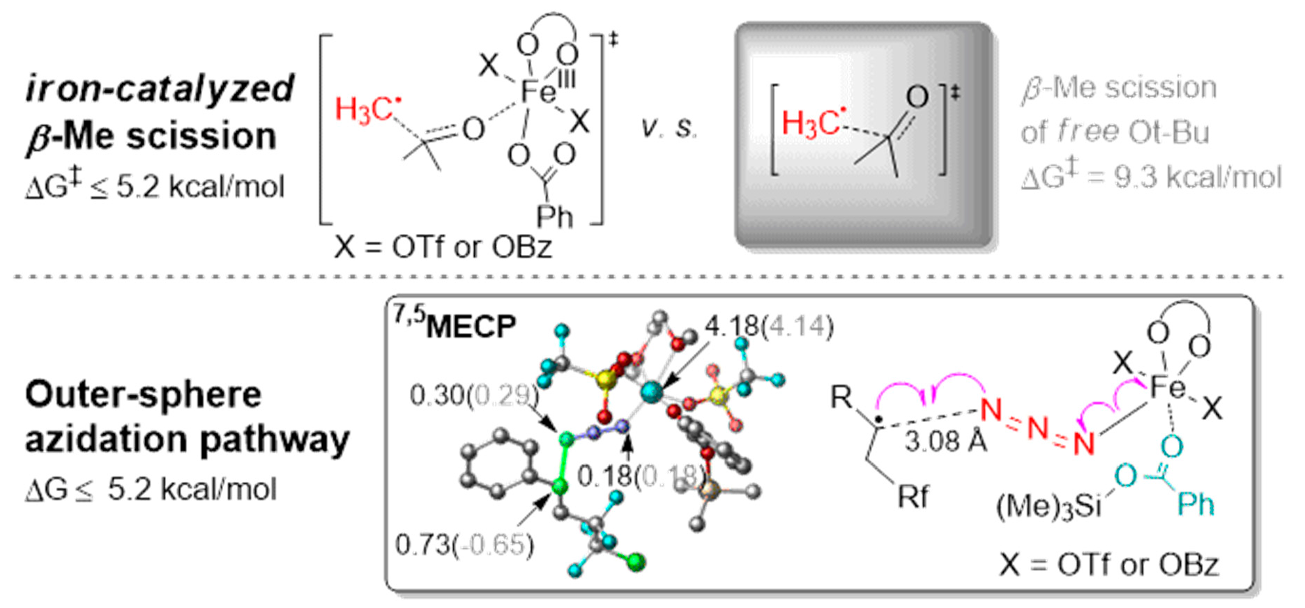 Molecules Free Full Text Revealing The Iron Catalyzed B Methyl Scission Of Tert Butoxyl Radicals Via The Mechanistic Studies Of Carboazidation Of Alkenes Html