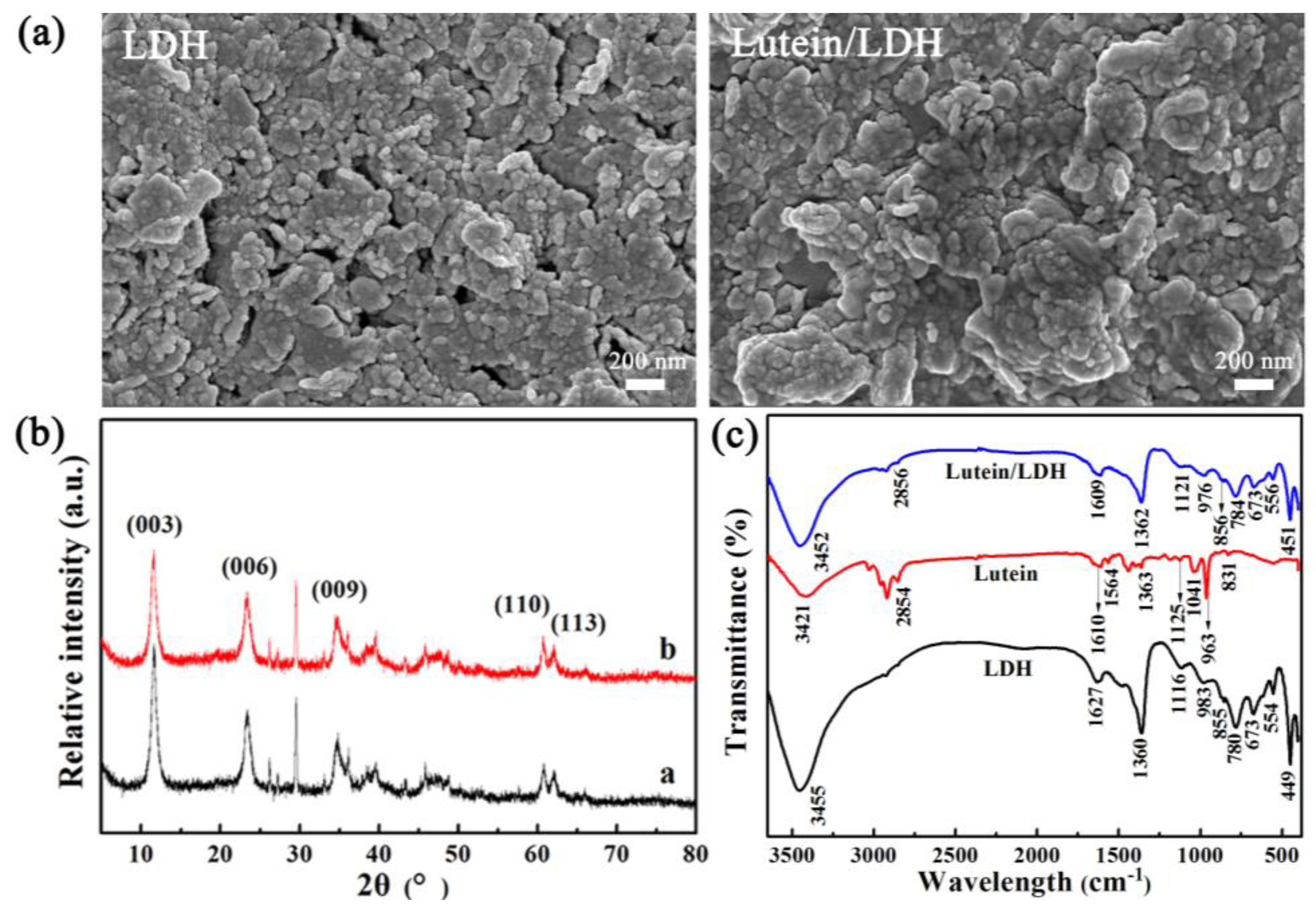 Molecules 25 01231 g002