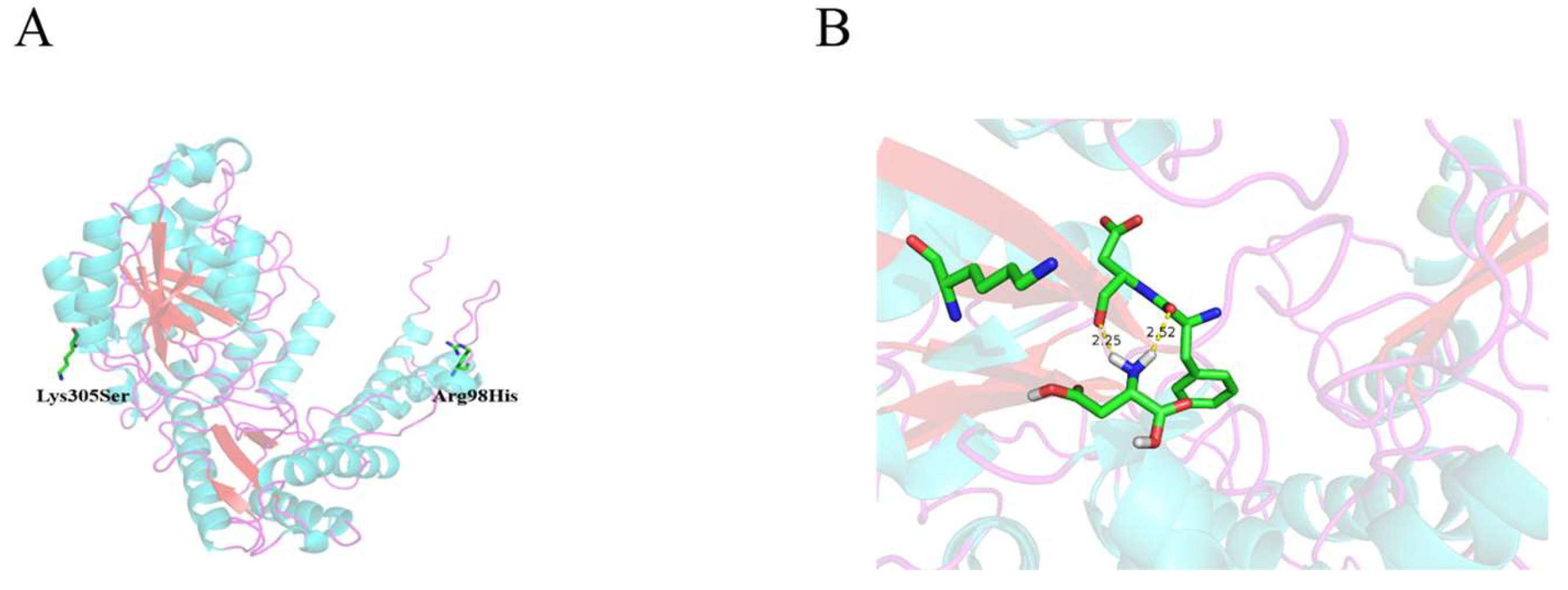 Molecules 25 01280 g001