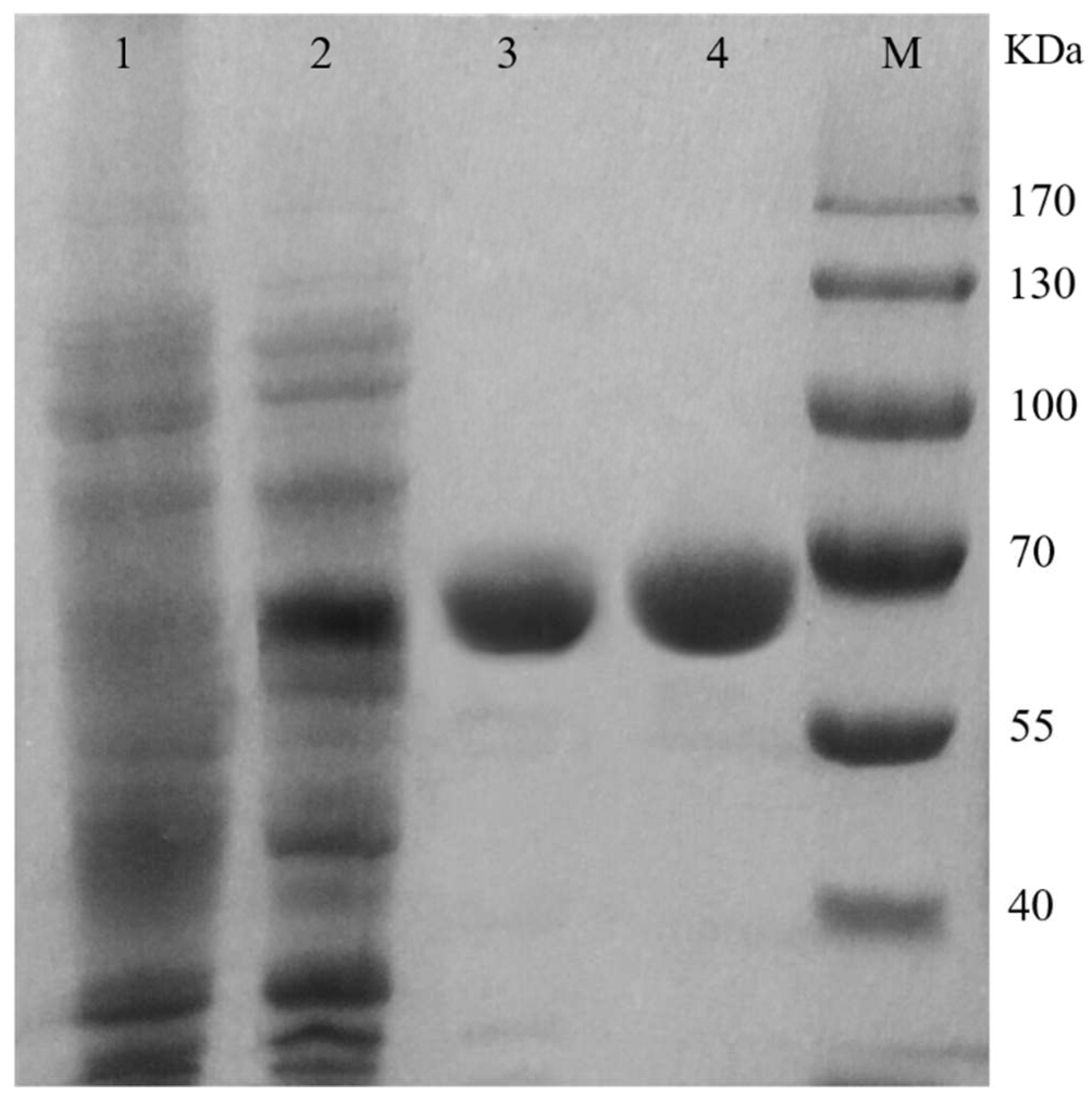 Molecules 25 01280 g002