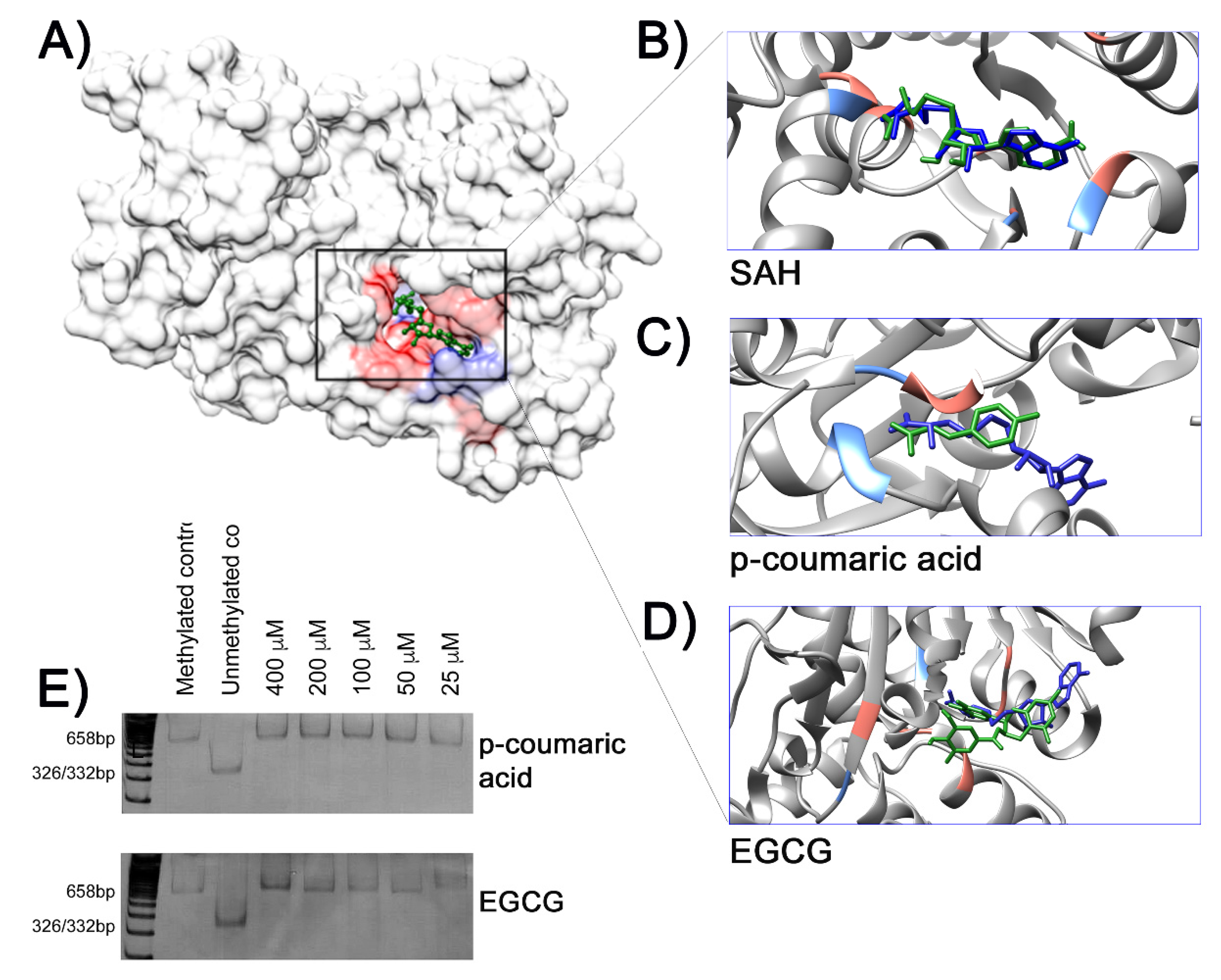 Molecules 25 01289 g003