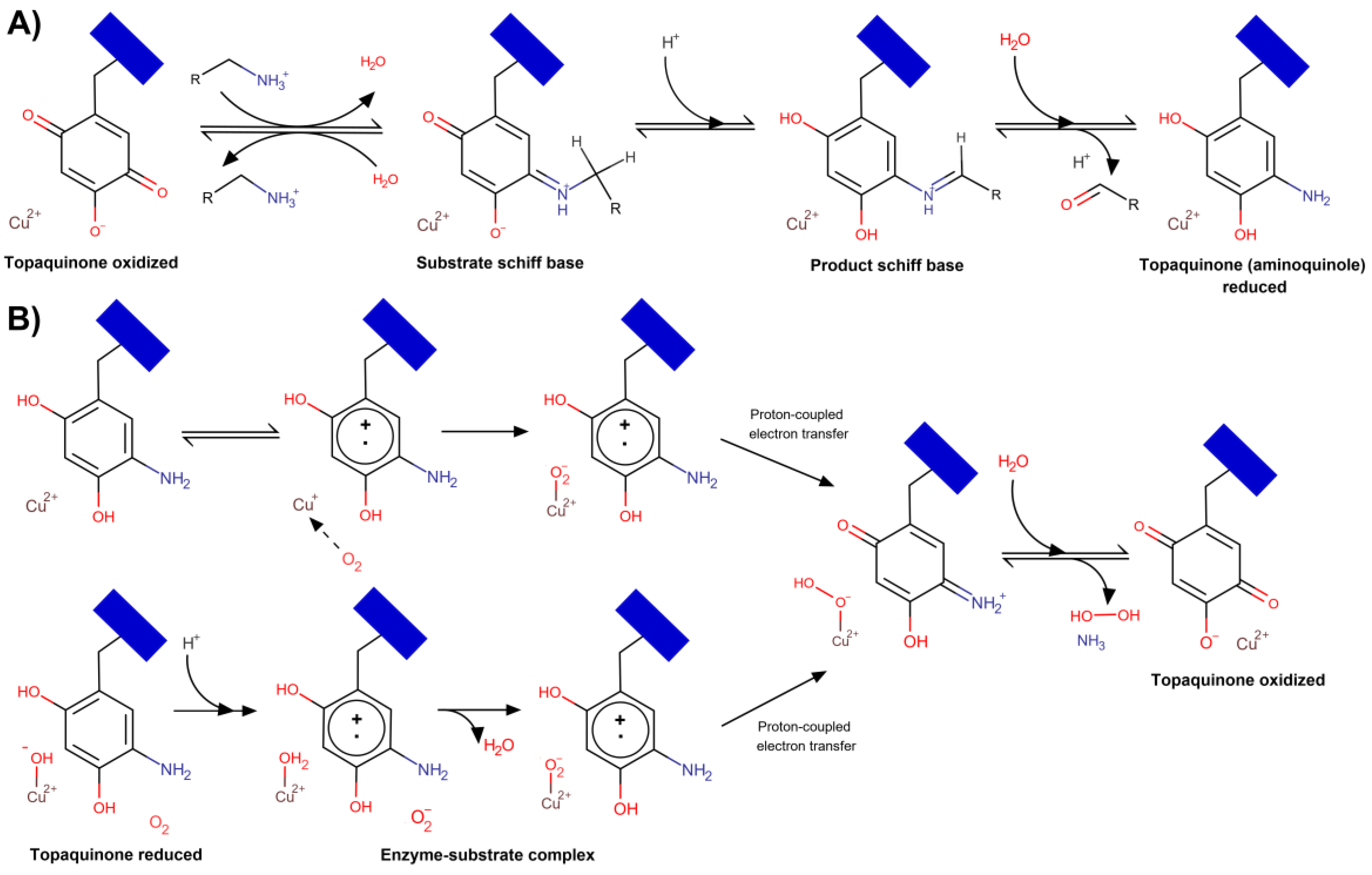 Molecules 25 01293 g002 Molecules 25 01293 g002