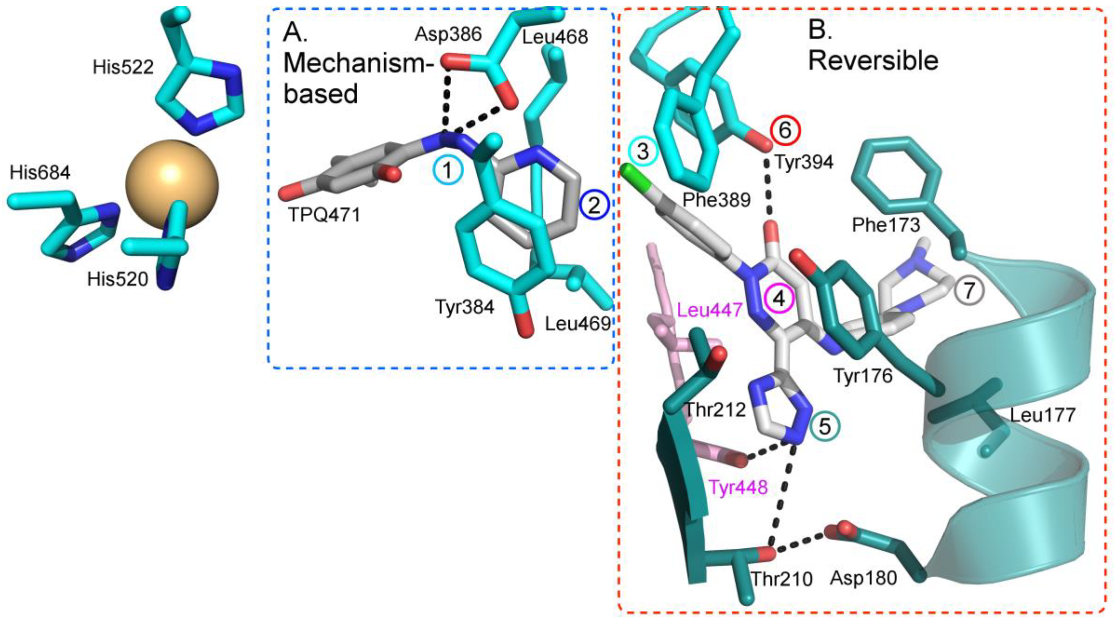 Molecules 25 01293 g003 Molecules 25 01293 g003