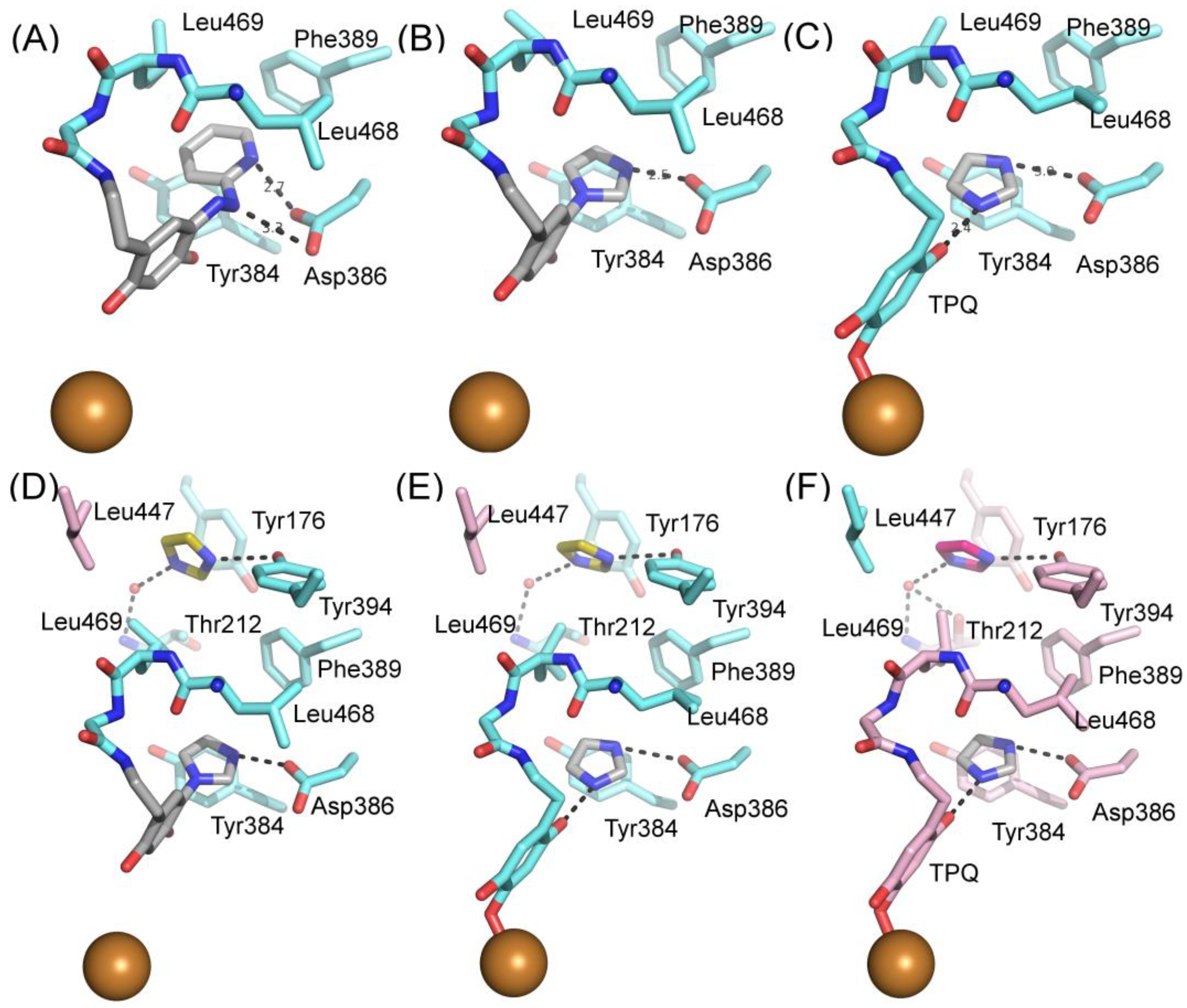 Molecules 25 01293 g004 Molecules 25 01293 g004