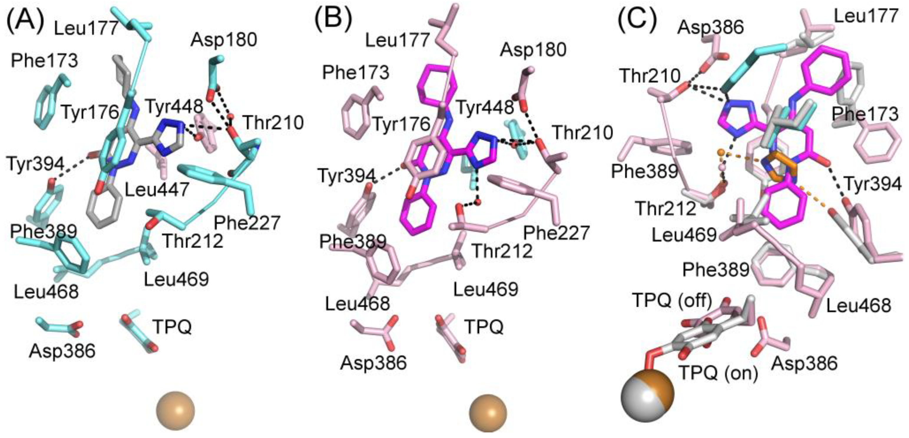 Molecules 25 01293 g005 Molecules 25 01293 g005