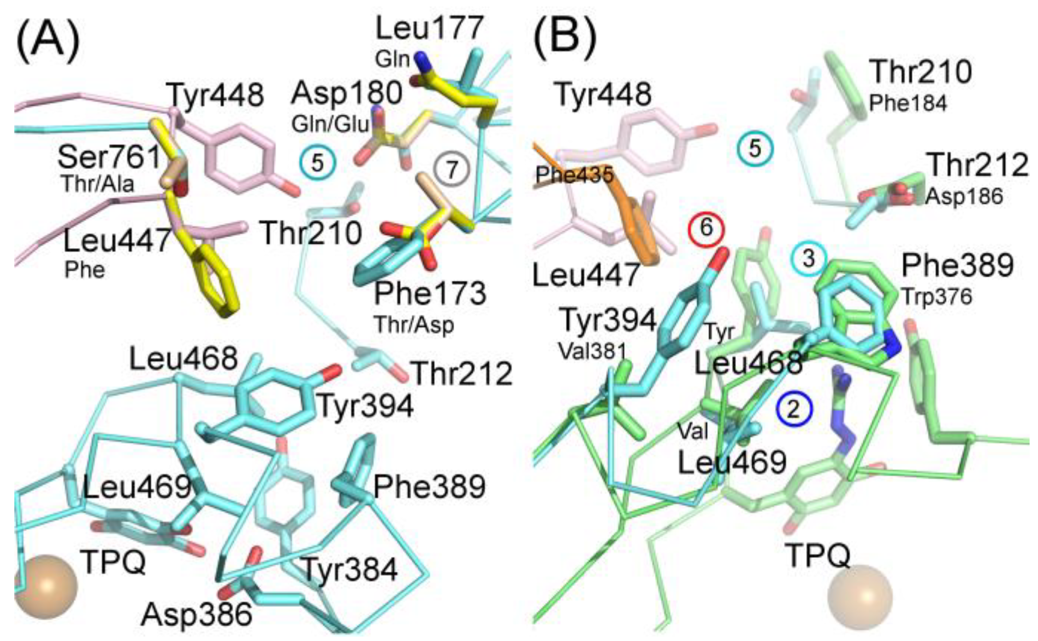 Molecules 25 01293 g007 Molecules 25 01293 g007