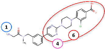 Molecules | Free Full-Text | Human Copper-Containing Amine Oxidases In ...