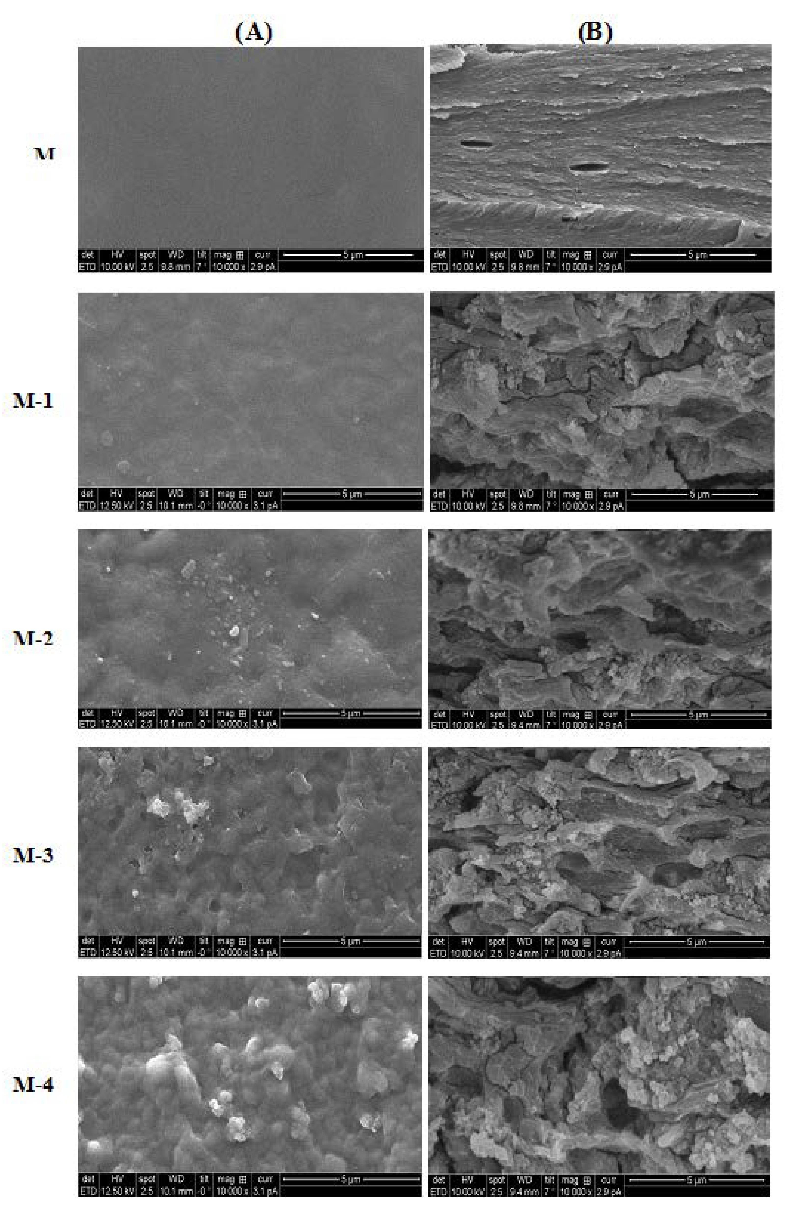 Molecules 25 01298 g004