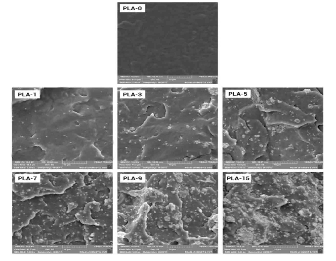 Molecules 25 01310 g005 Molecules 25 01310 g005